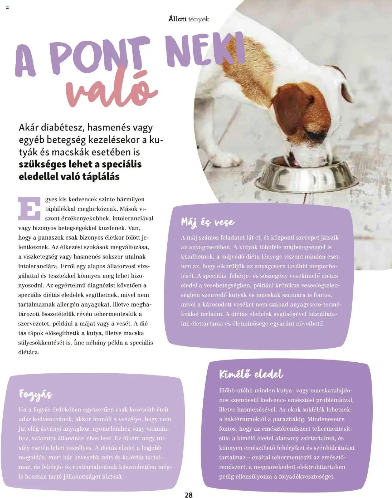 Fressnapf Akciós újság (2025-05-05 - 2025-08-31)