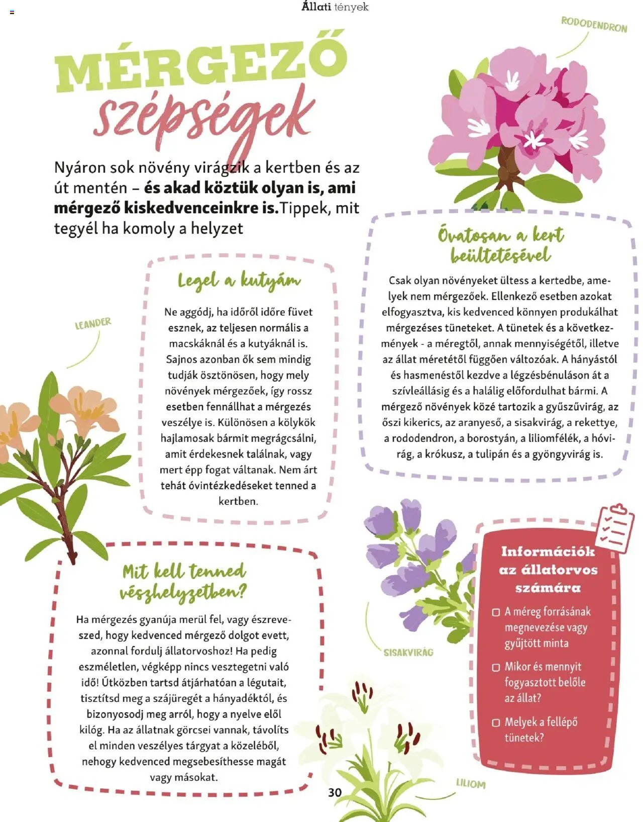 Fressnapf Akciós újság (2025-05-05 - 2025-08-31)
