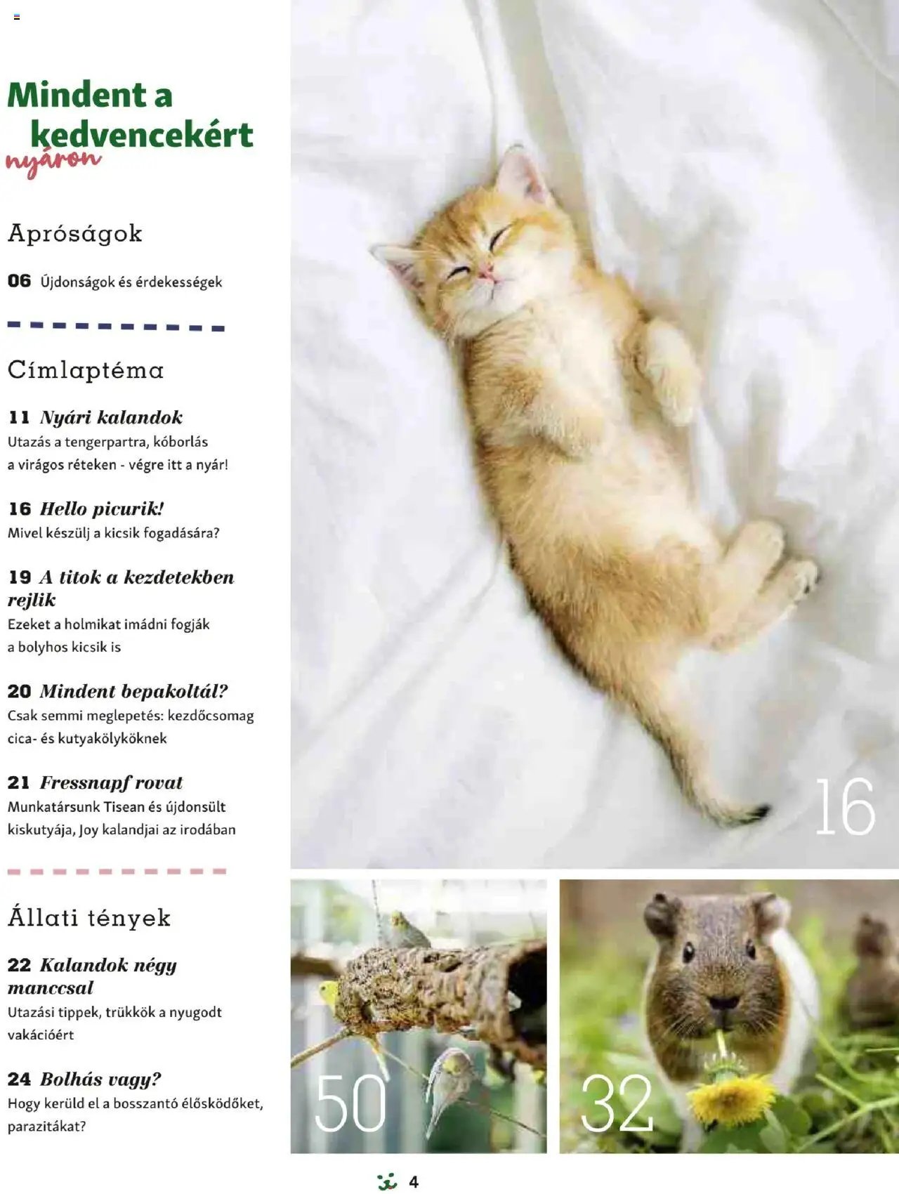Fressnapf Akciós újság (2025-05-05 - 2025-08-31)