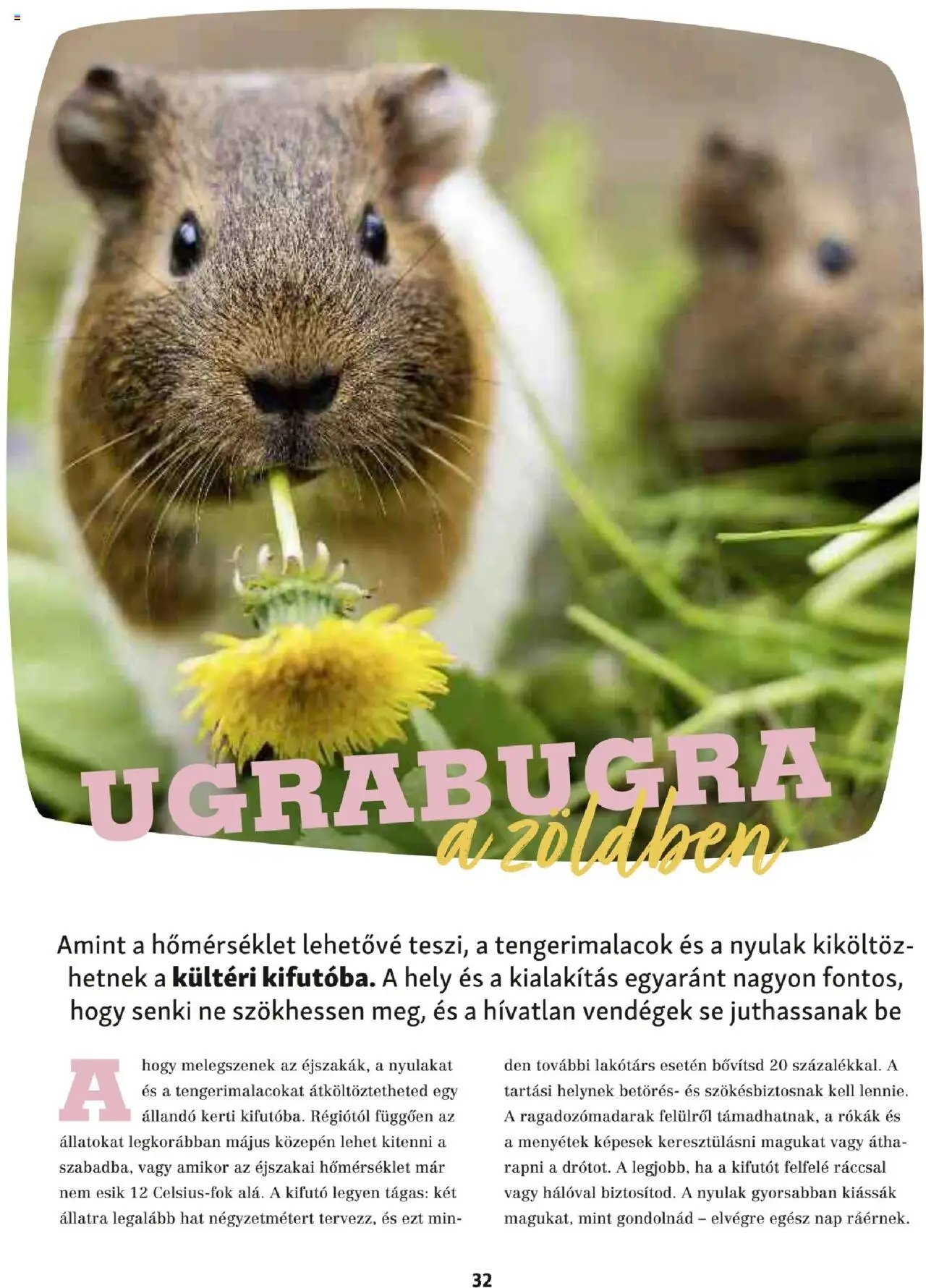 Fressnapf Akciós újság (2025-05-05 - 2025-08-31)
