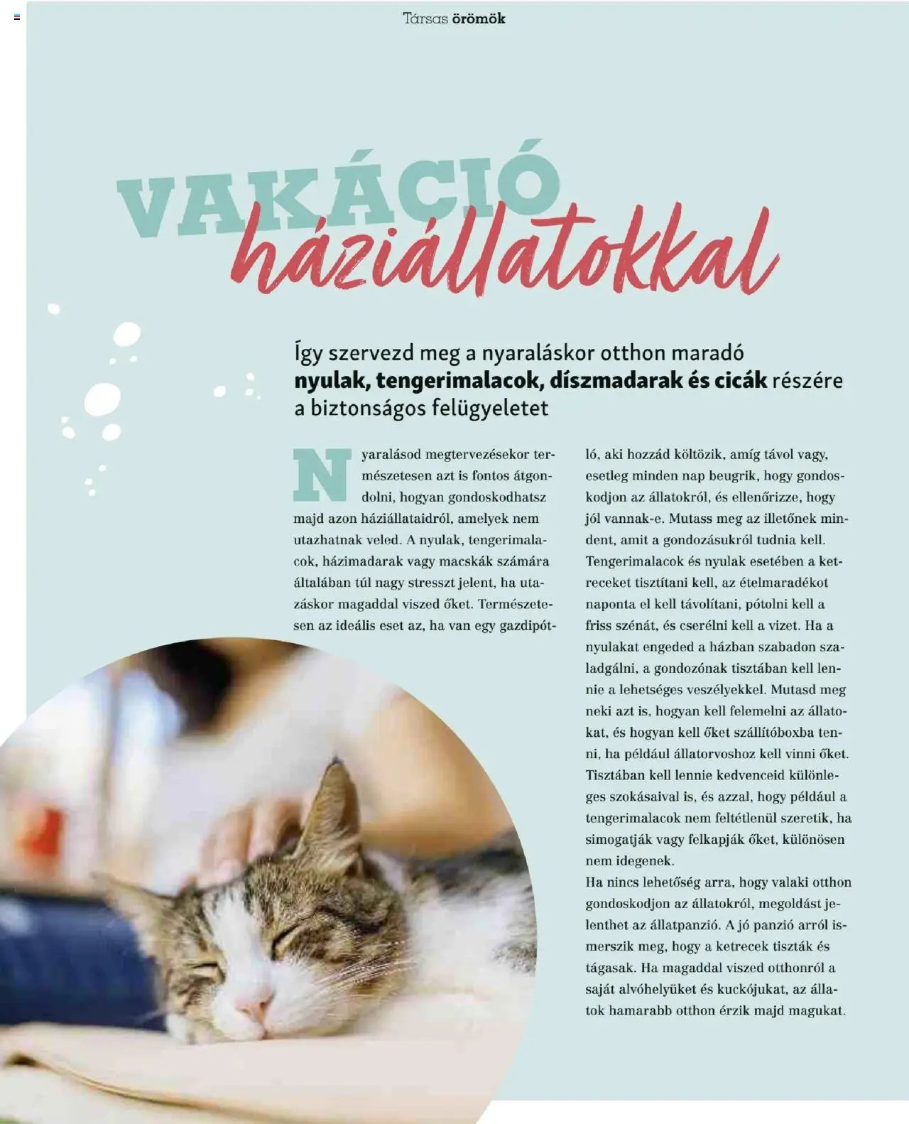 Fressnapf Akciós újság (2025-05-05 - 2025-08-31)