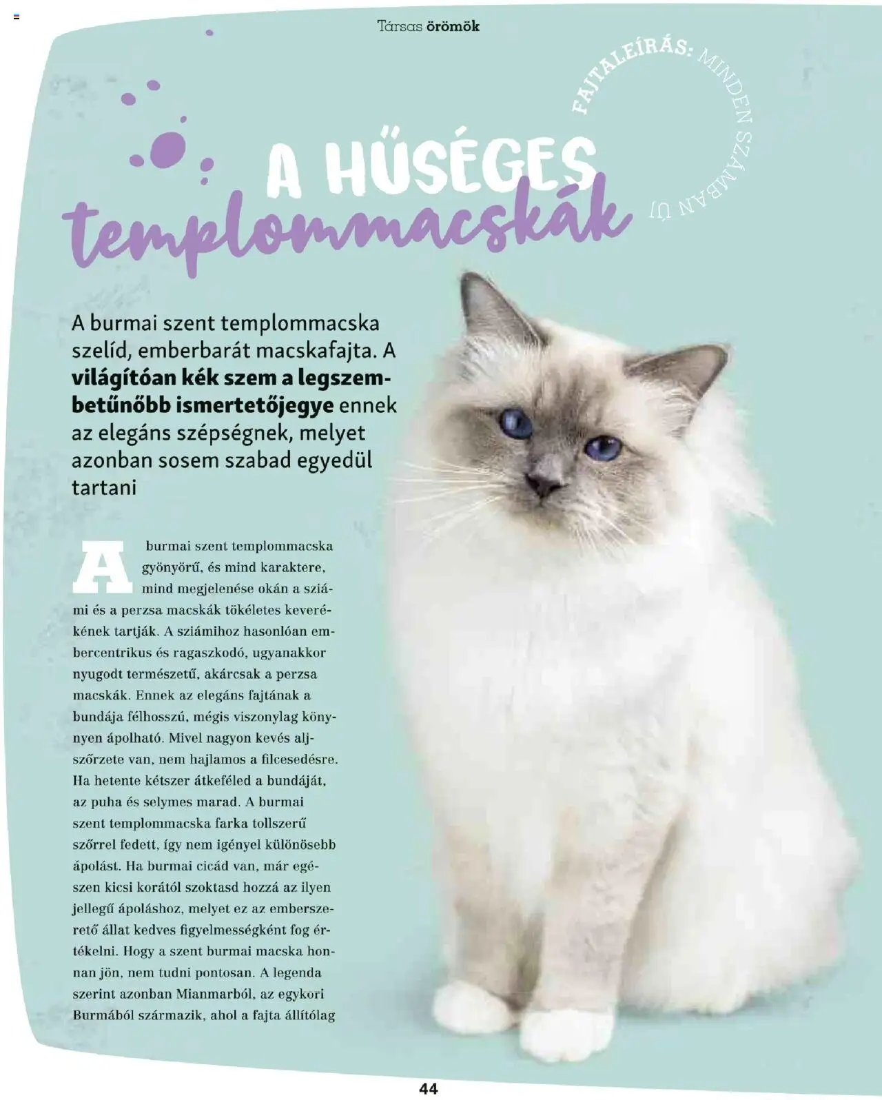 Fressnapf Akciós újság (2025-05-05 - 2025-08-31)
