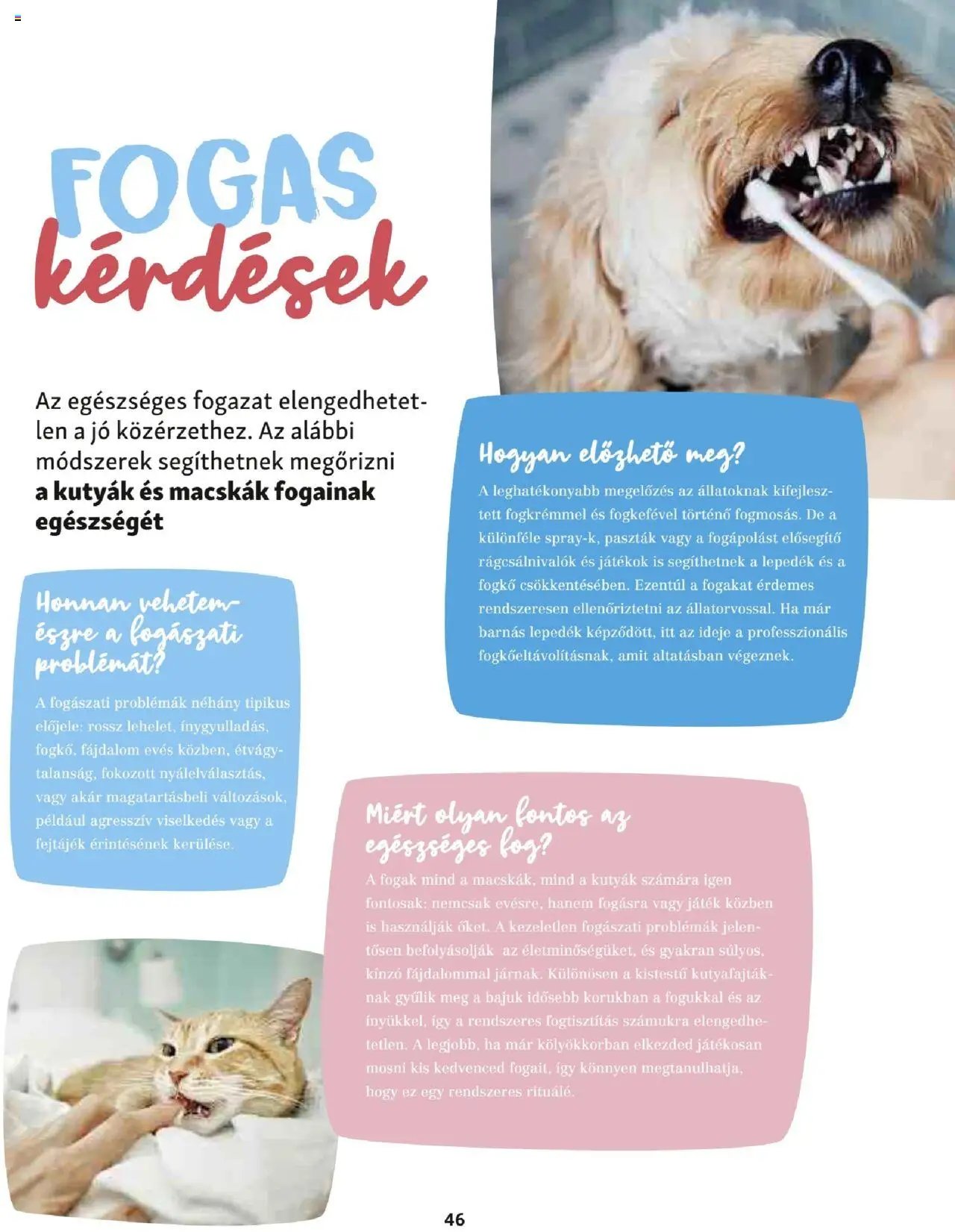 Fressnapf Akciós újság (2025-05-05 - 2025-08-31)