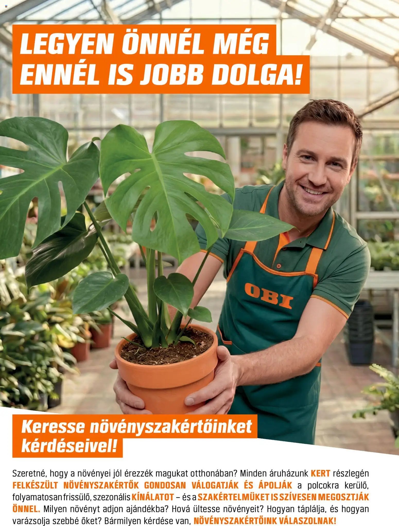 OBI akciós újság