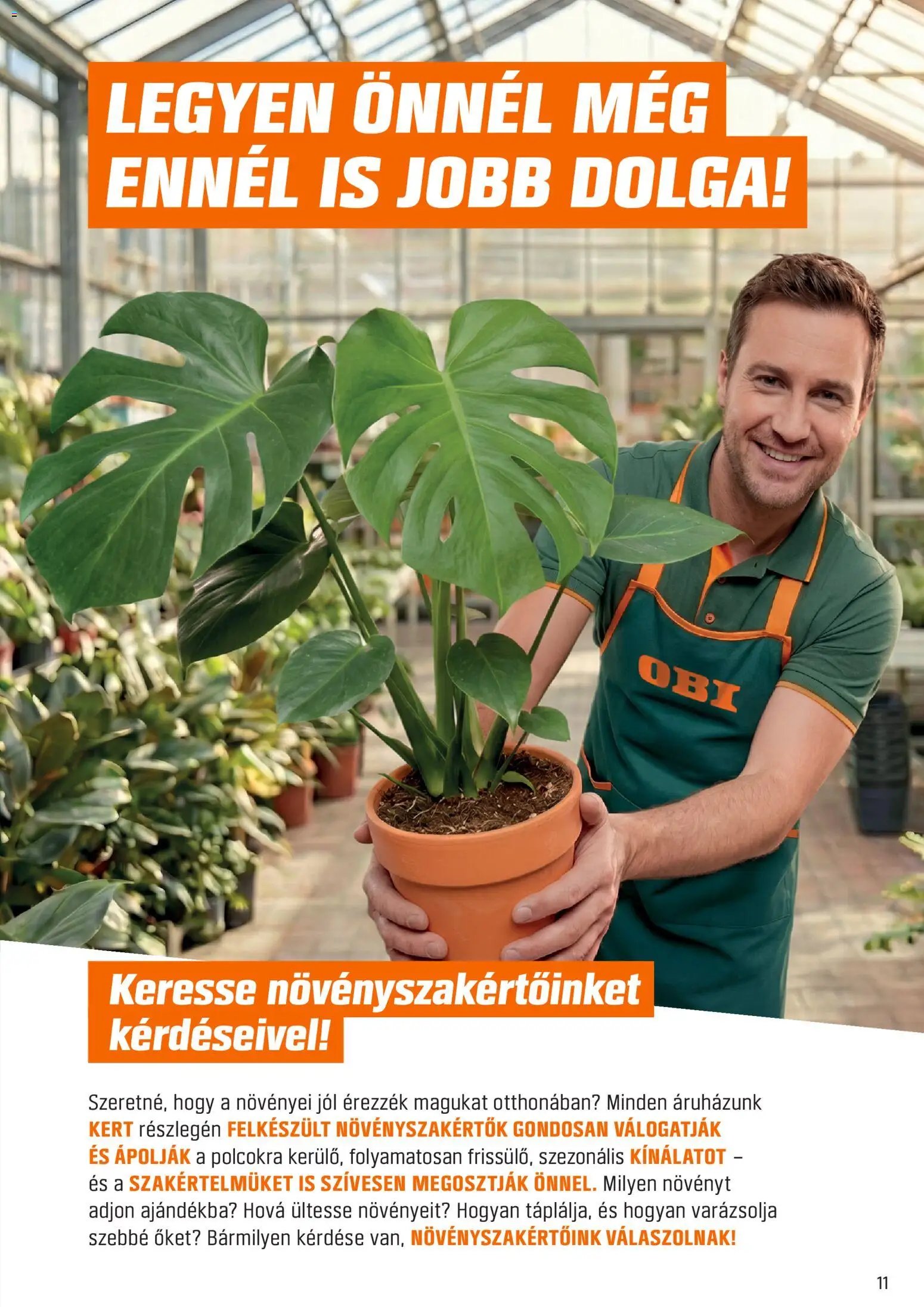 OBI akciós újság