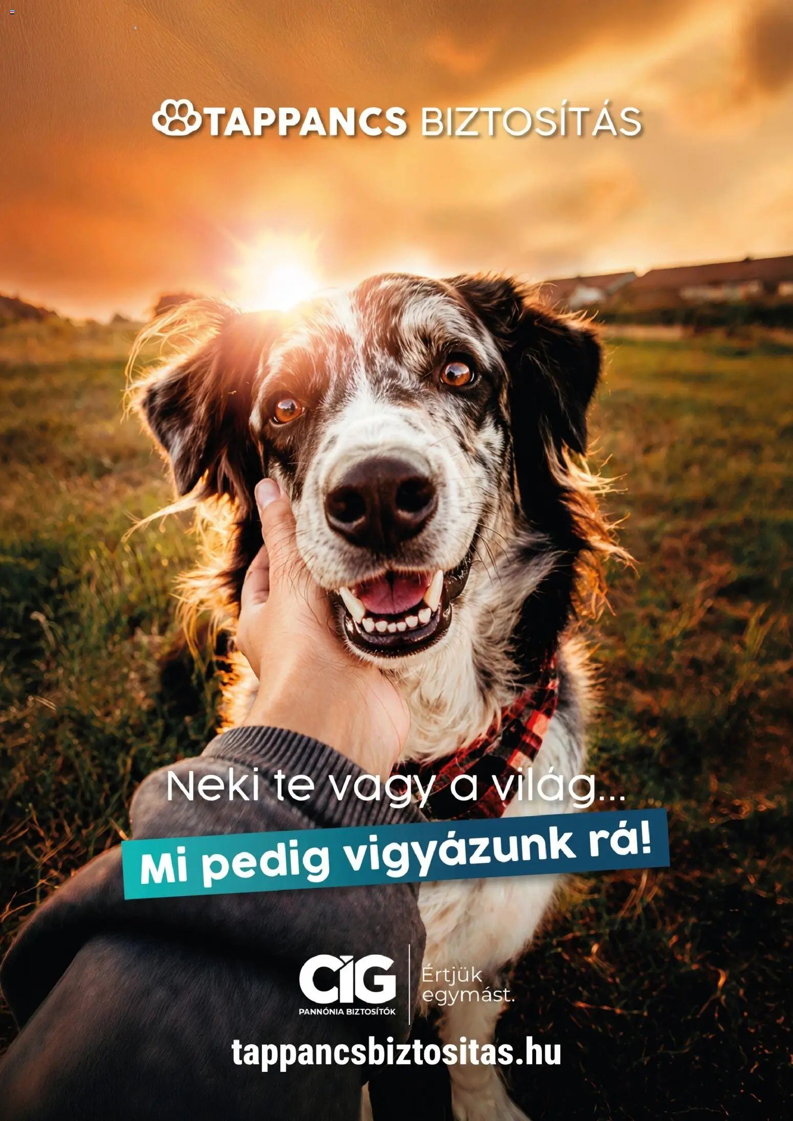 AlphaZoo akciós újság