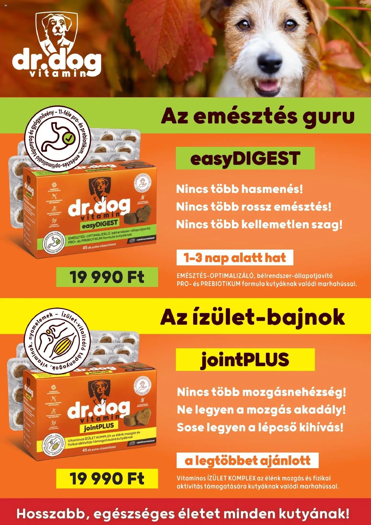 AlphaZoo akciós újság