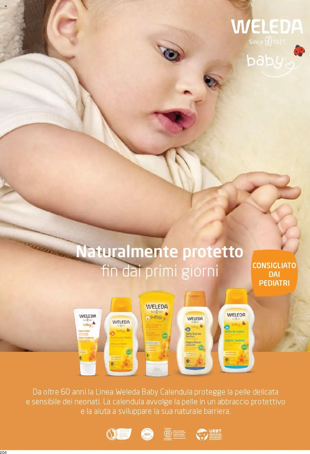 Catalogo Piccola Puericultura Prenatal	 (2025-01-01 - 2025-12-31)