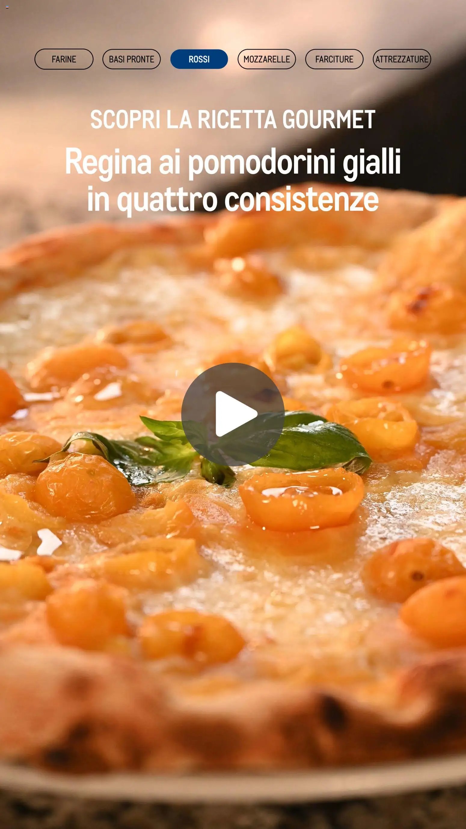 Metro Pizzeria catalogo (2026-01-08 - 2026-12-31)