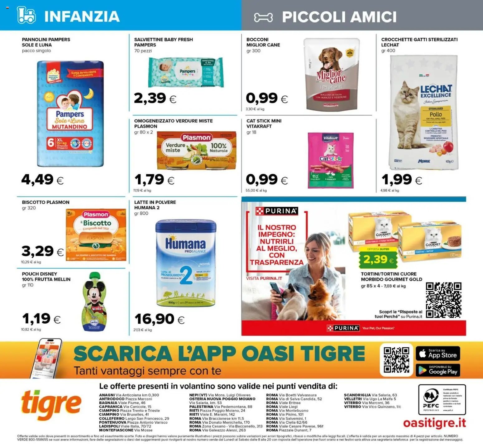 Tigros volantino Lazio