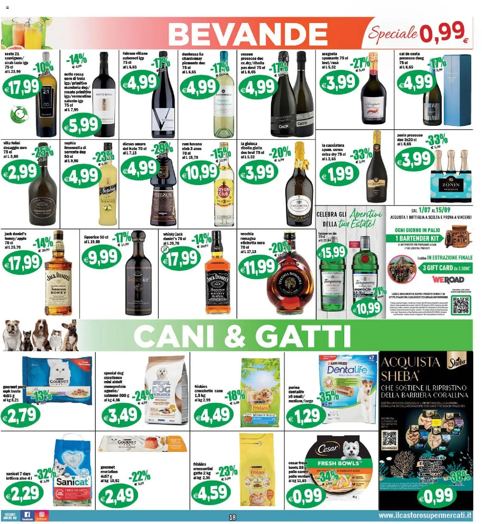Il Castoro volantino