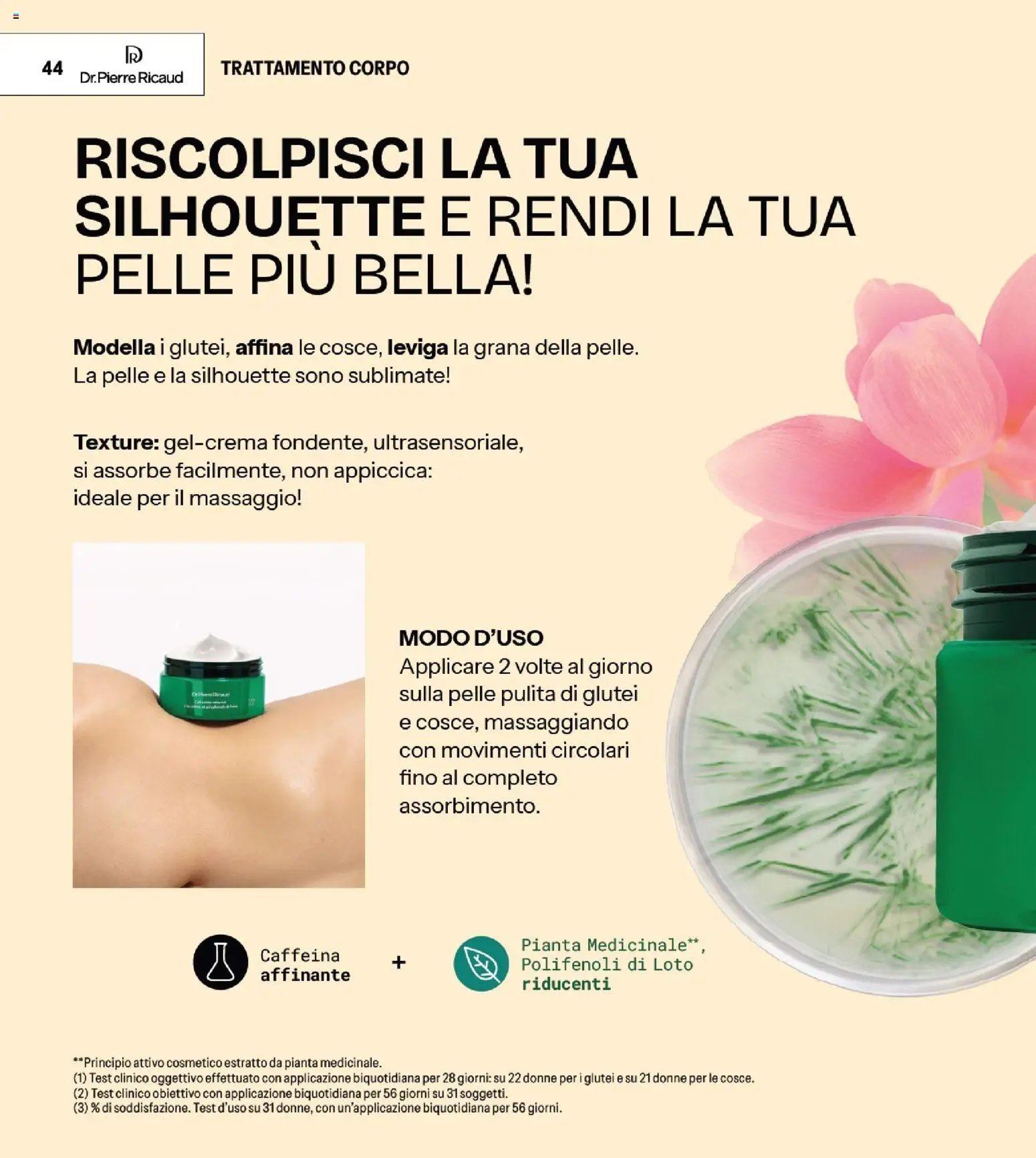 Catalogo Stanhome 13 2026