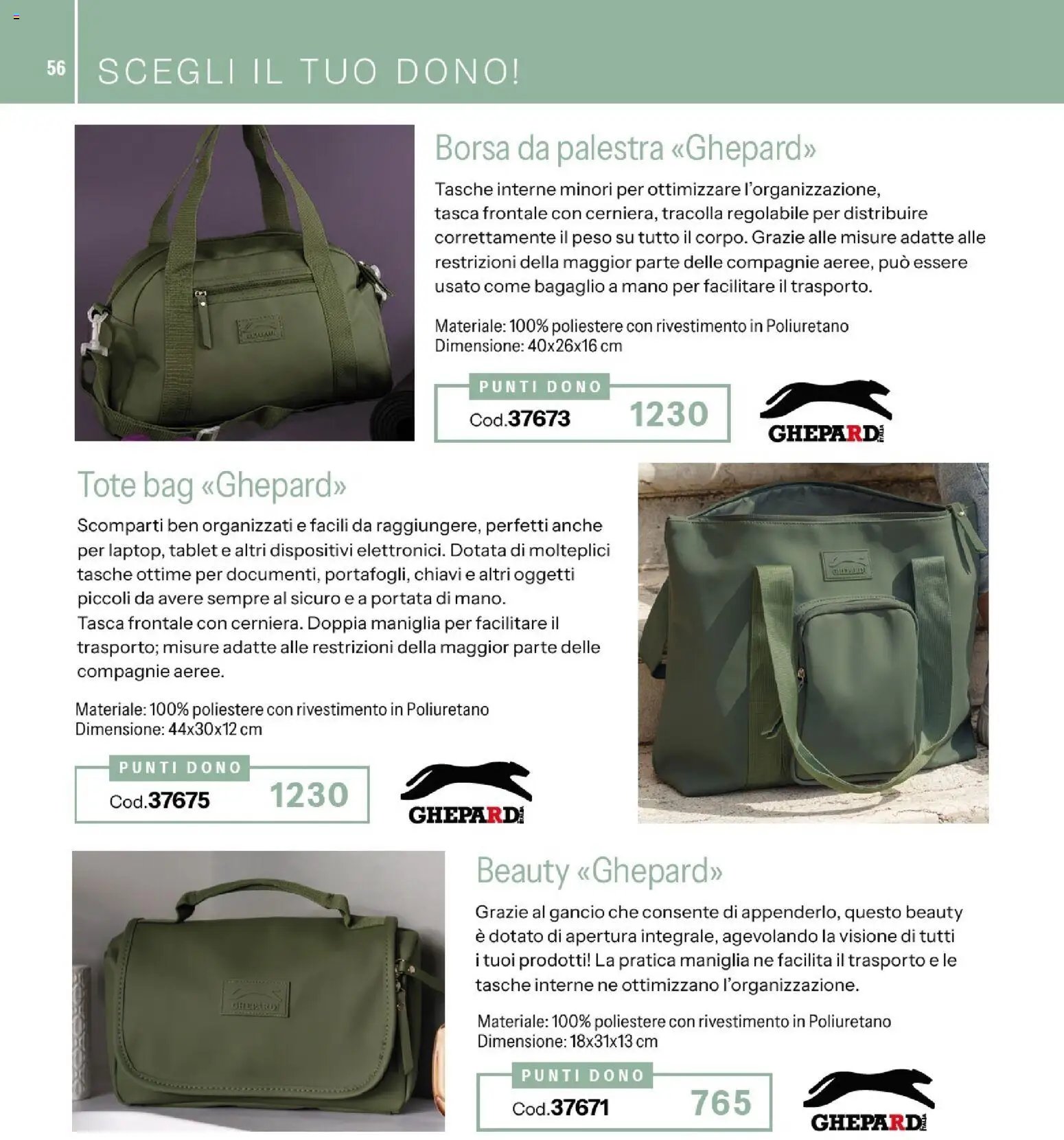 Catalogo Stanhome 13 2026