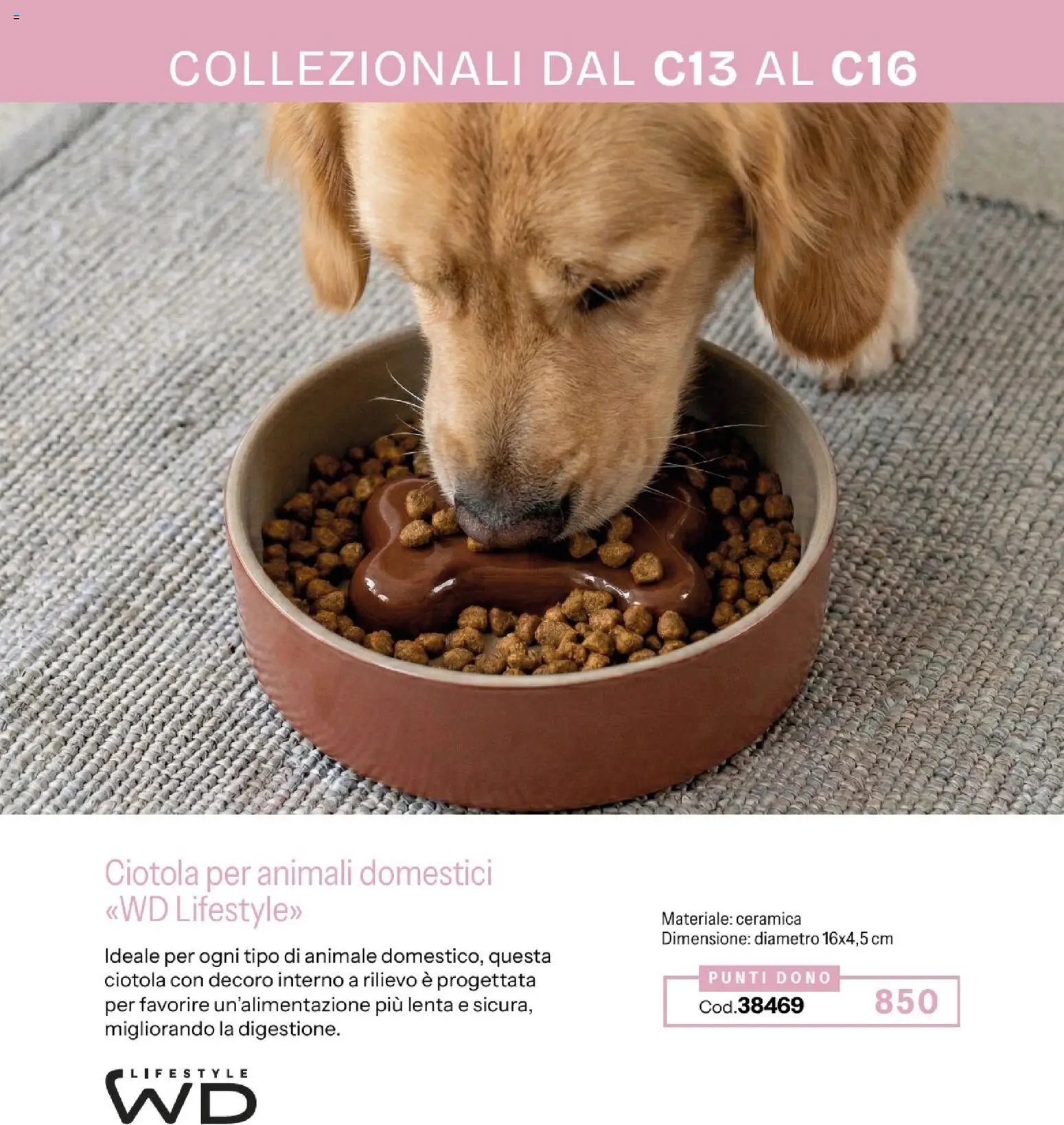 Catalogo Stanhome 13 2026