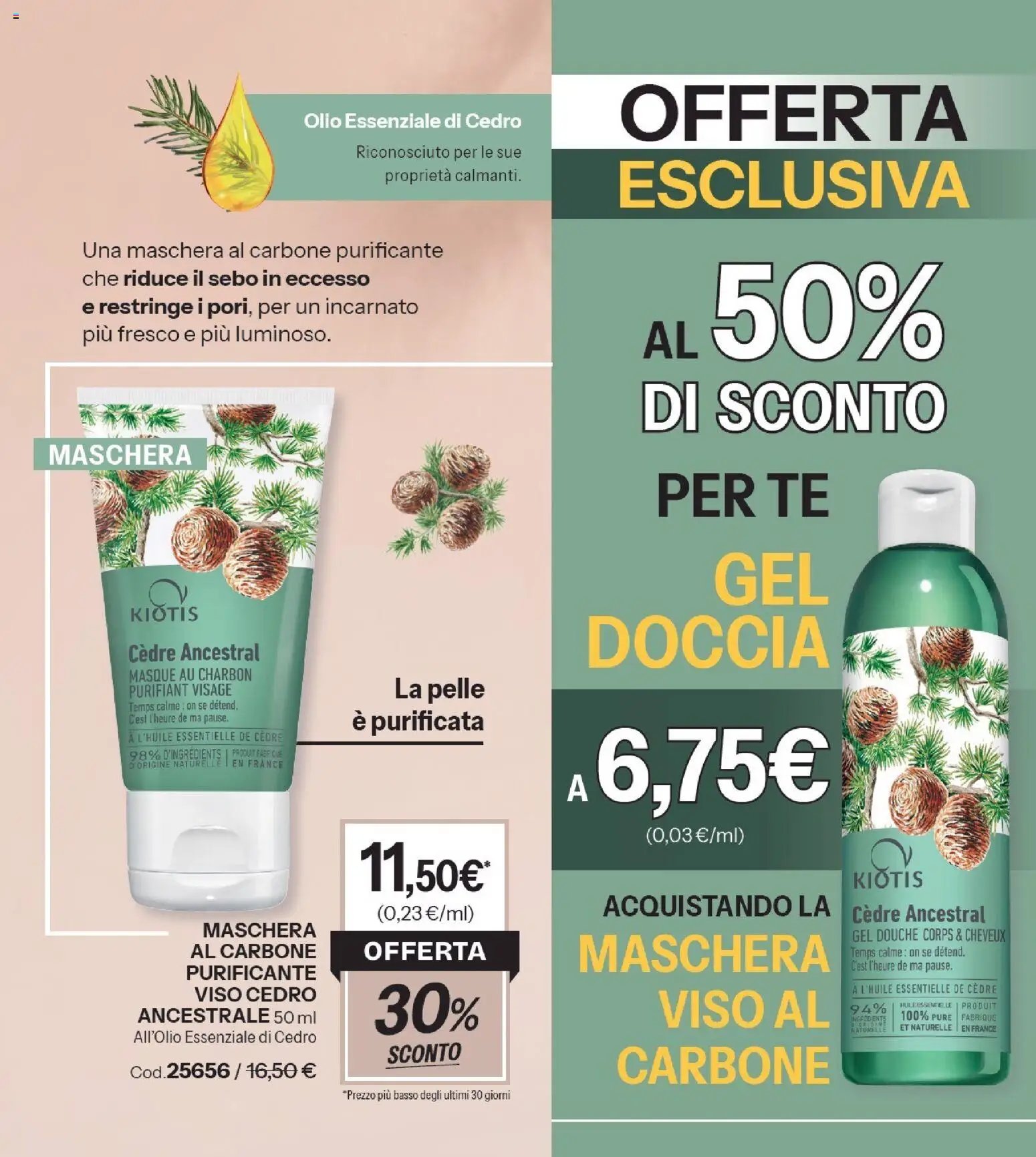 Catalogo Stanhome 13 2026