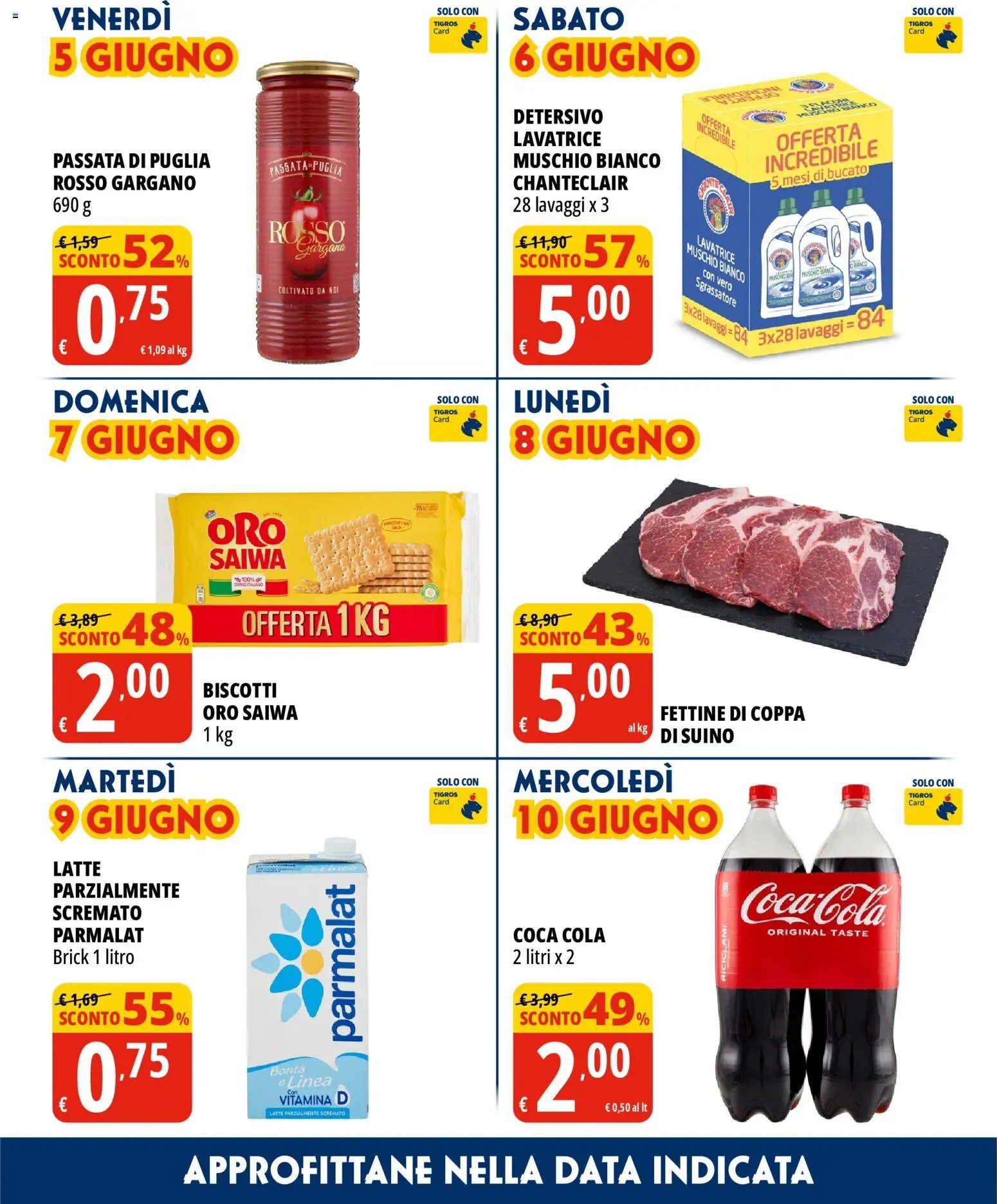 Tigros volantino