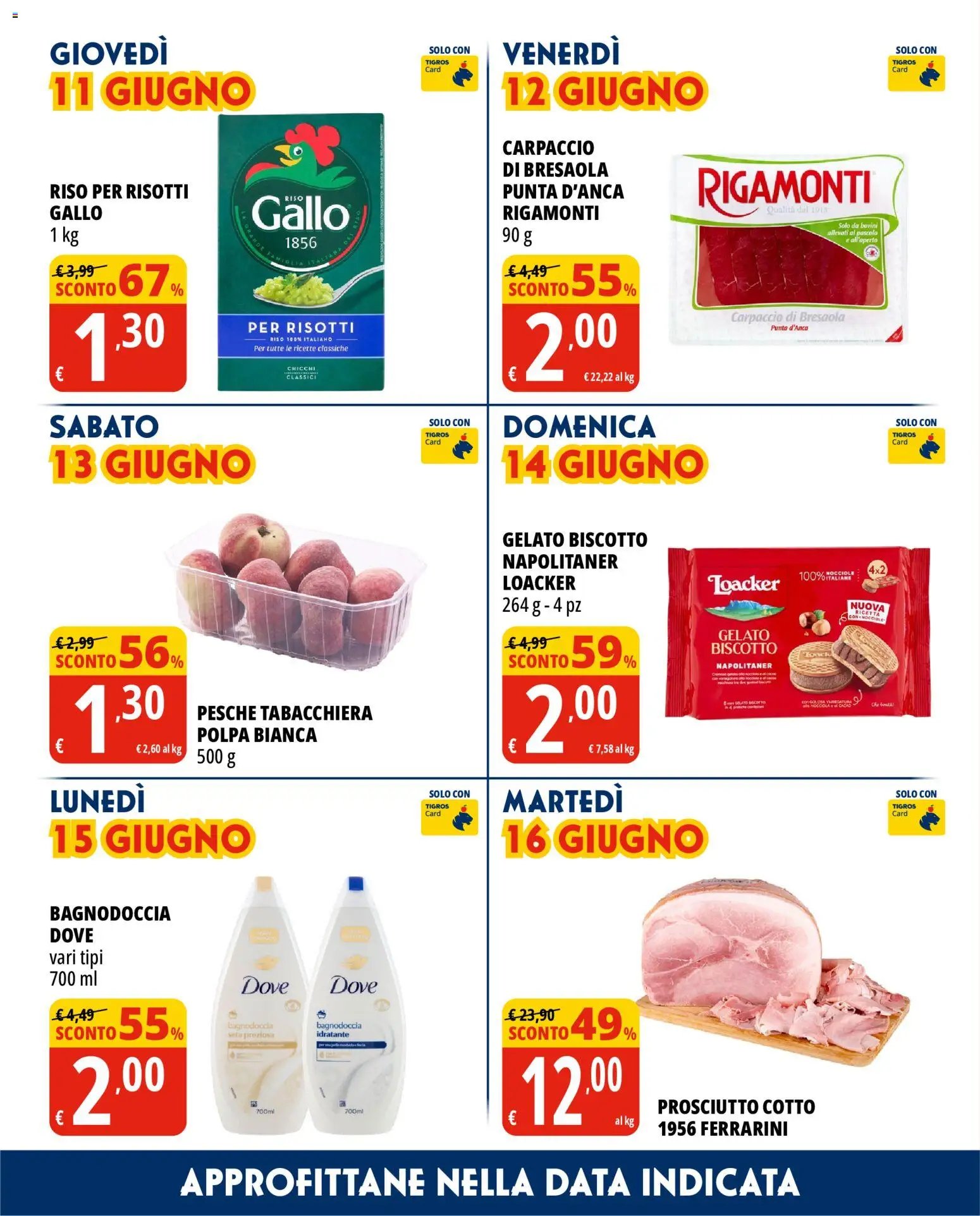 Tigros volantino