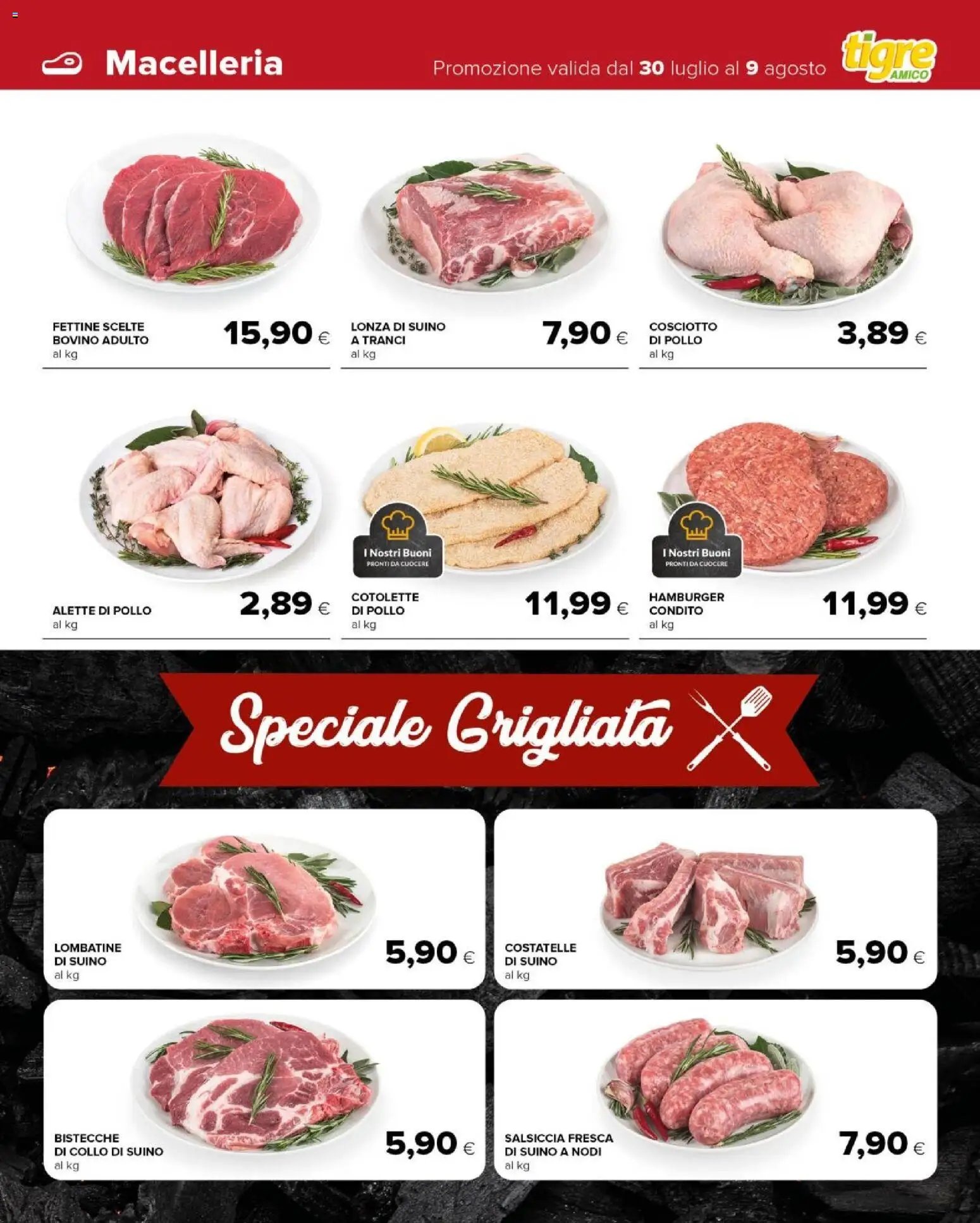 Tigre volantino Amico Arielli