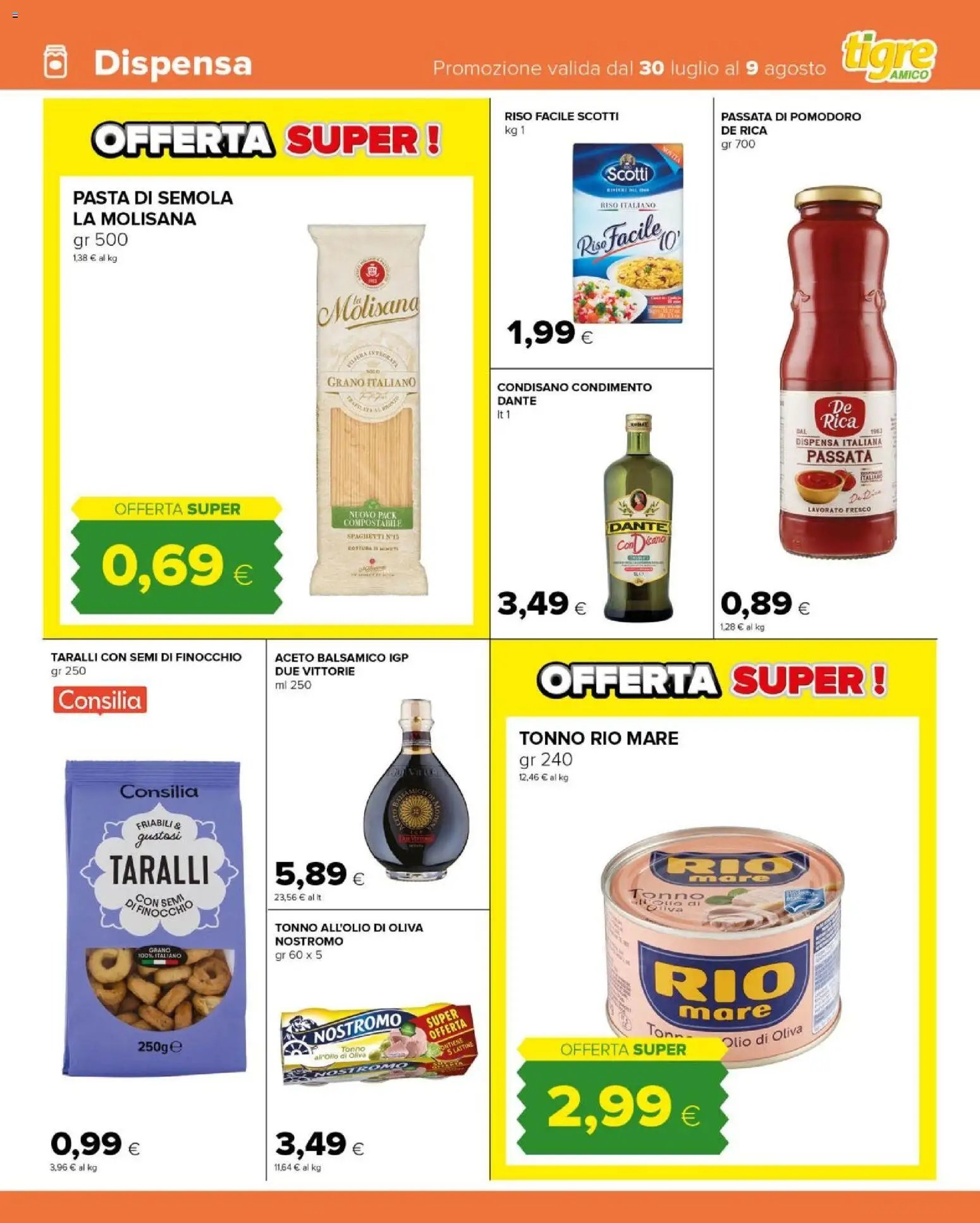 Tigre volantino Amico Arielli
