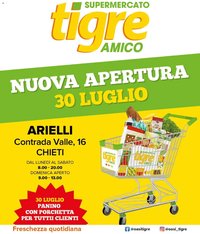 Tigre volantino Amico Arielli
