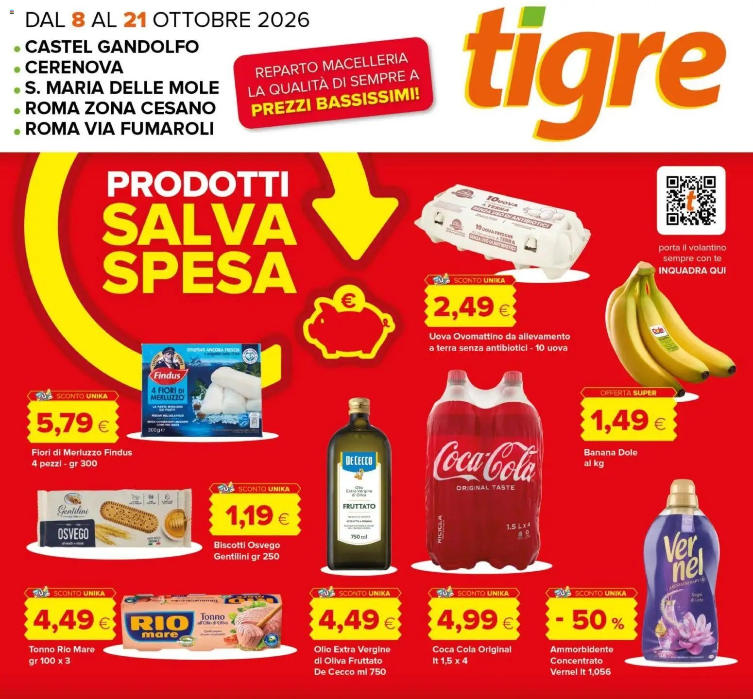 Tigre volantino Roma