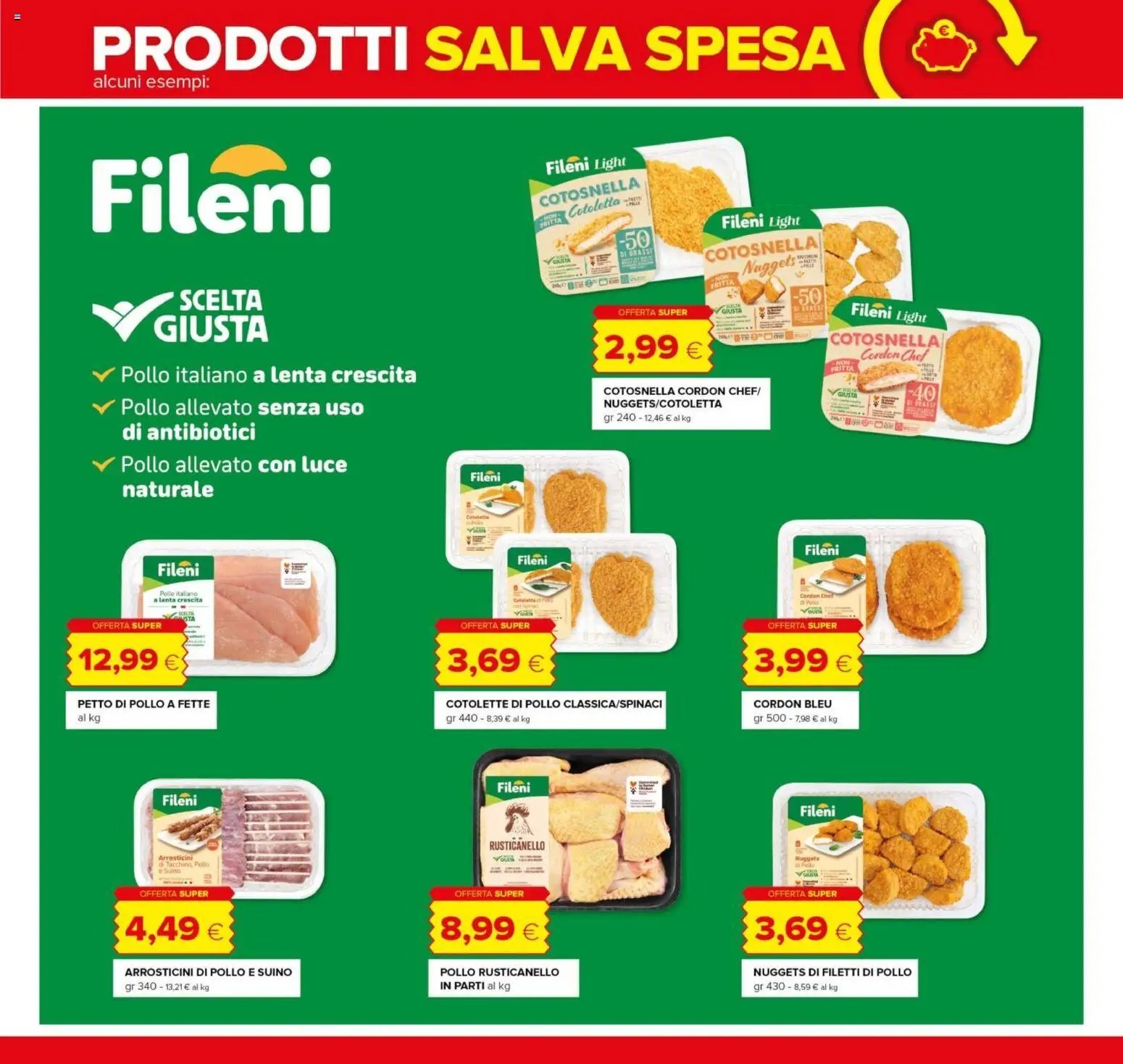 Tigre volantino Roma