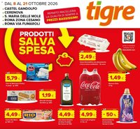 Tigre volantino Roma