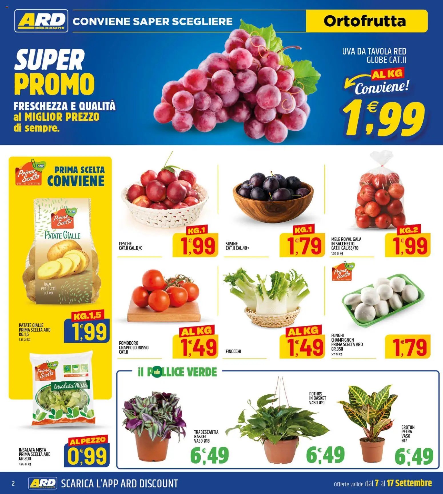 ARD Discount volantino