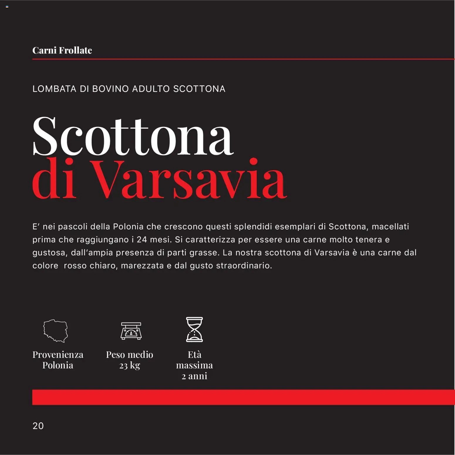 Sogegross volantino Carni frollate