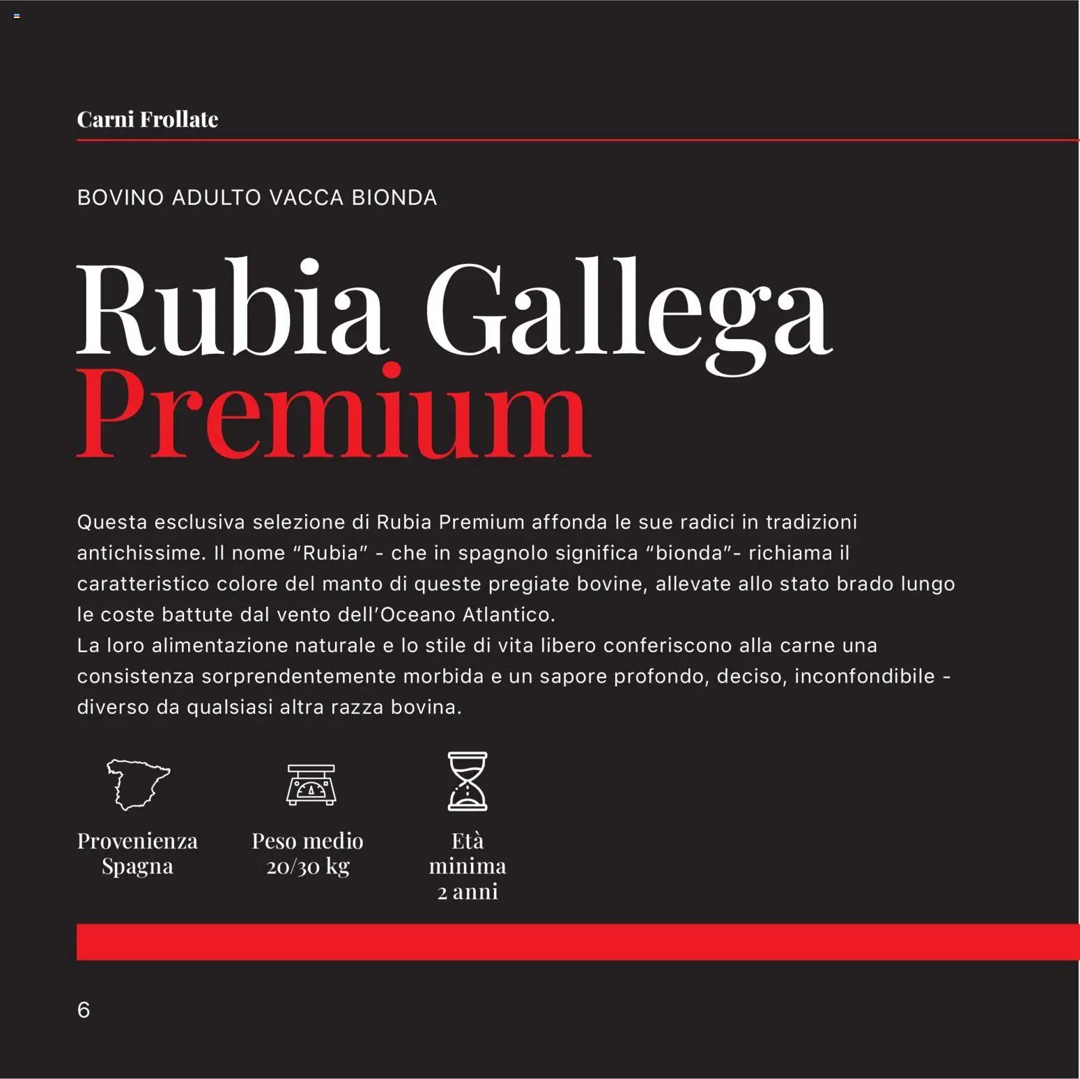 Sogegross volantino Carni frollate