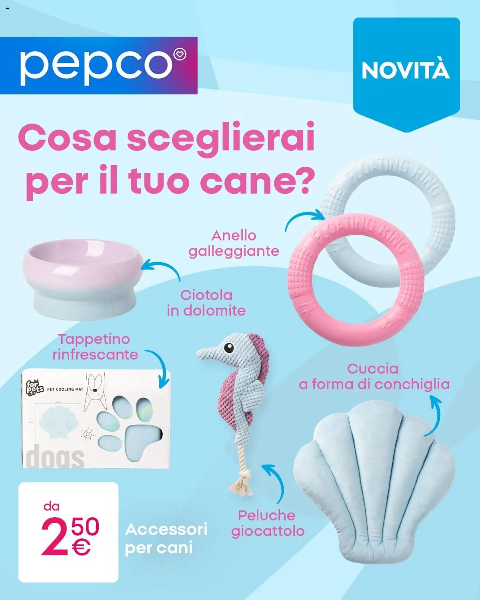 Pepco volantino