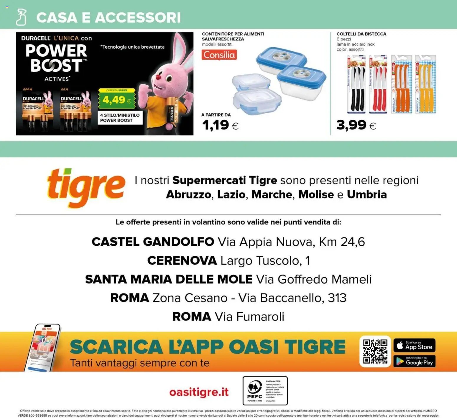 Tigre volantino Roma