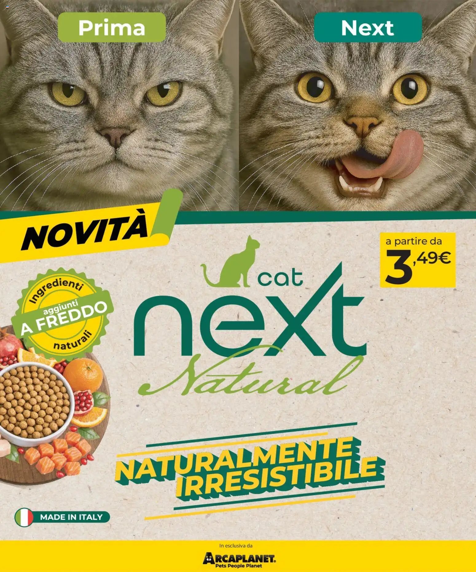 Arcaplanet volantino