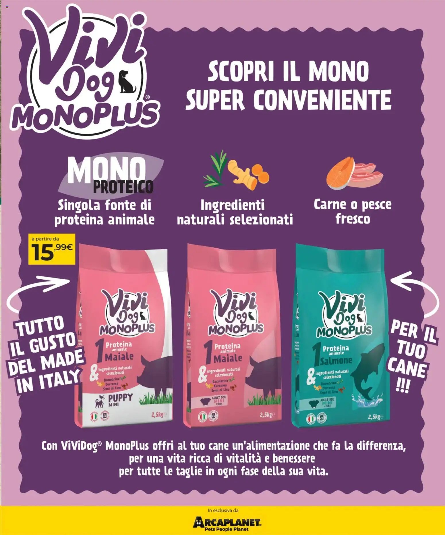 Arcaplanet volantino