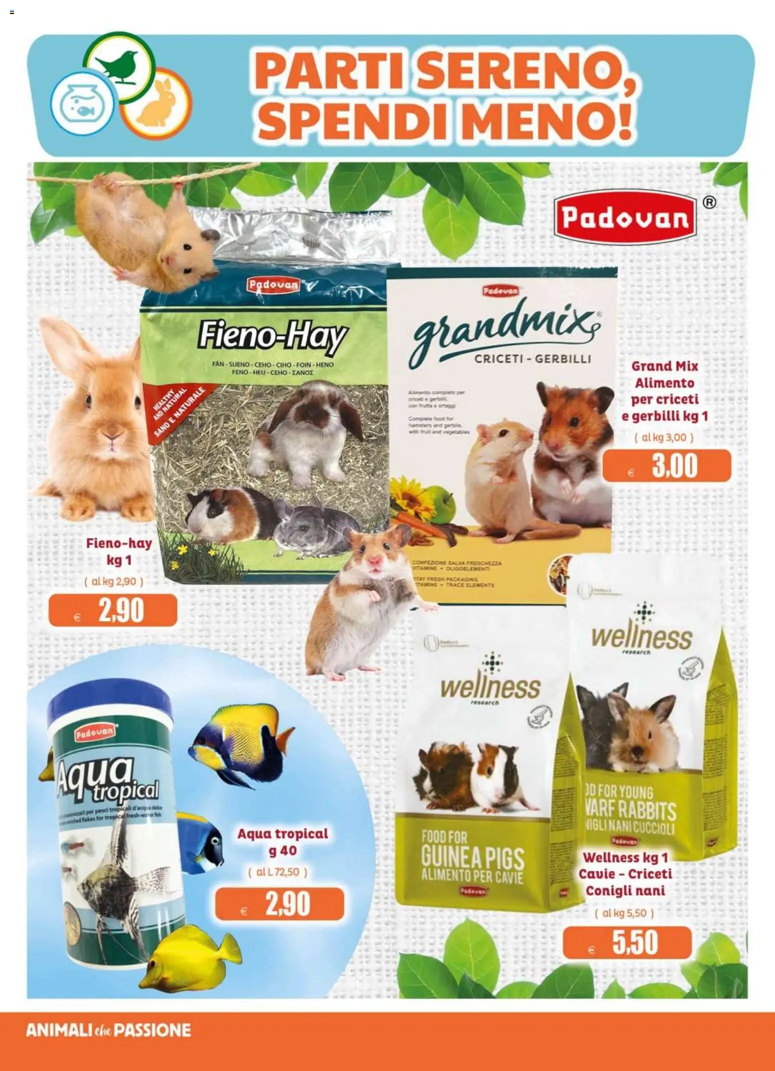 Elite Supermercati volantino Pet