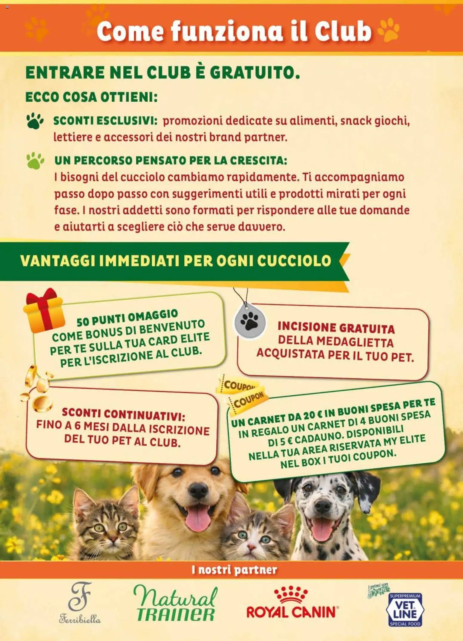 Elite Supermercati volantino Pet