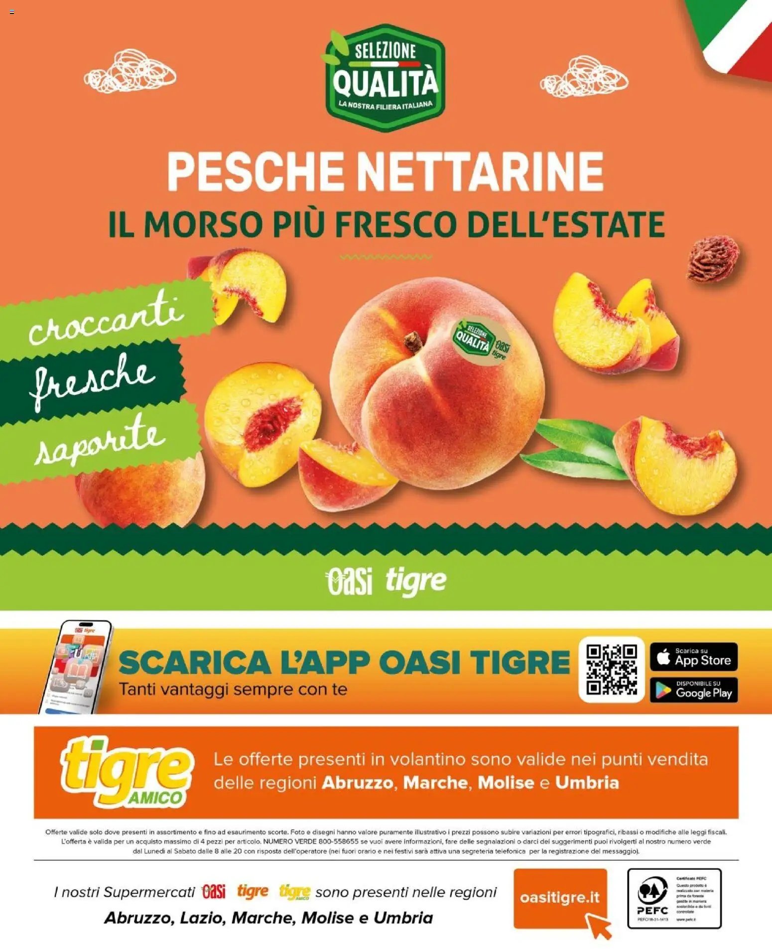 Tigre volantino Amico Freshe Offerte
