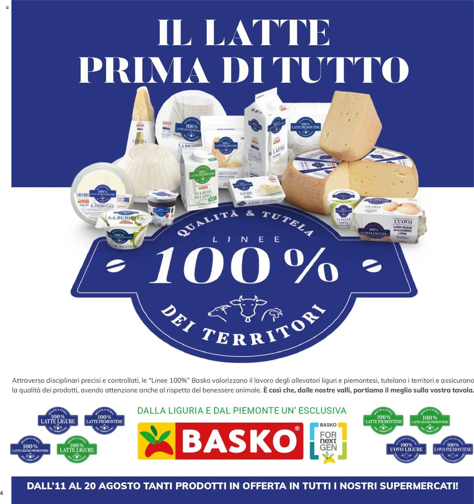Basko volantino