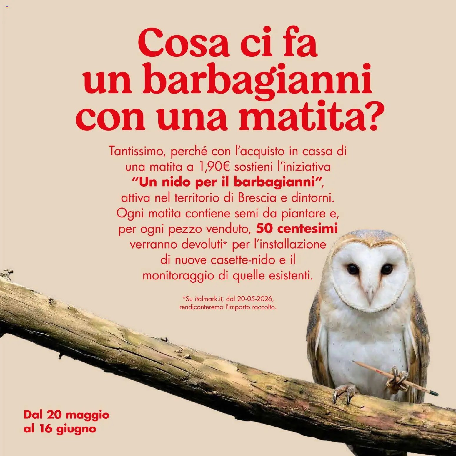 Italmark volantino (2026-05-20 - 2026-06-03)