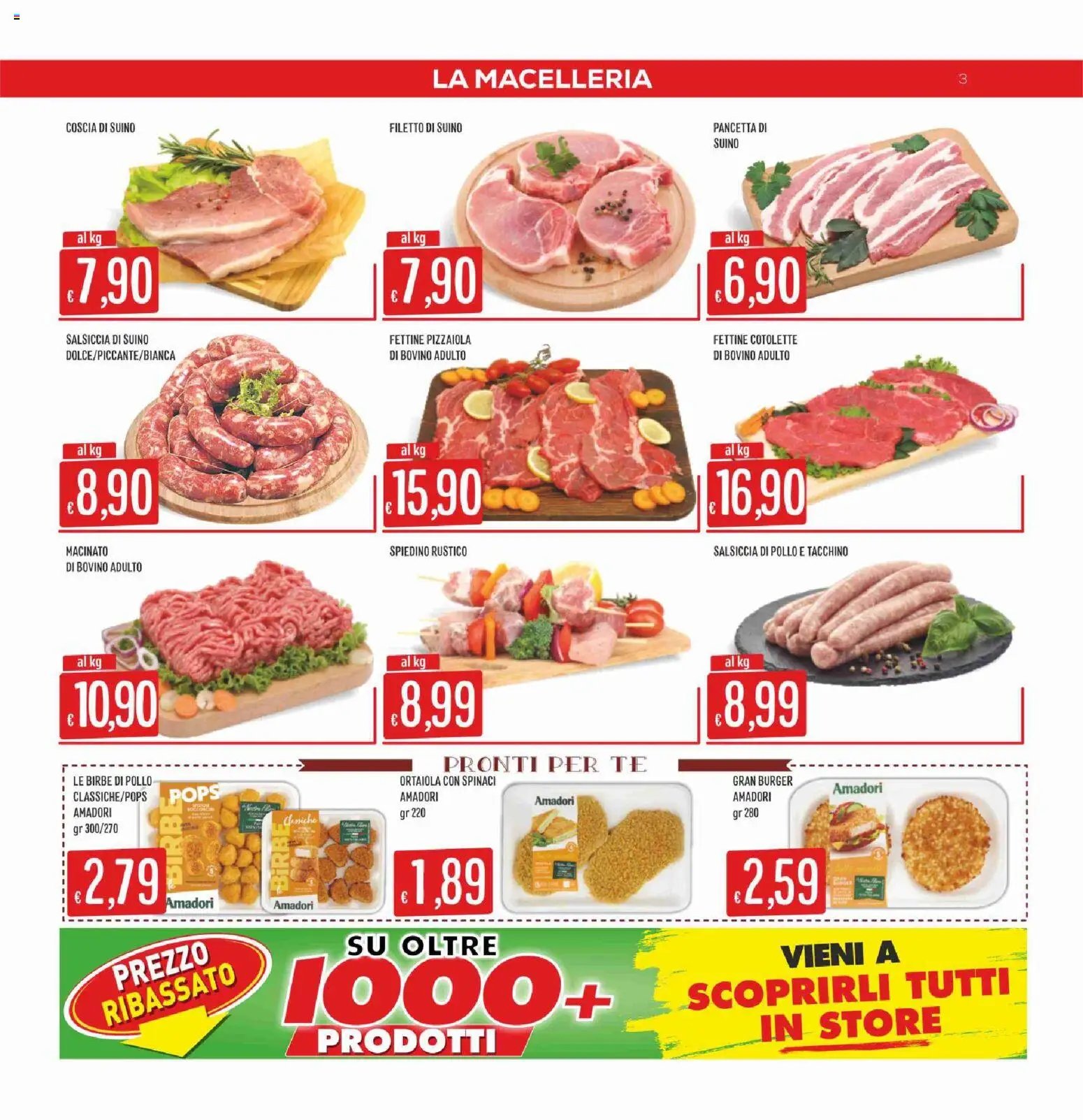 SISA volantino Calabria