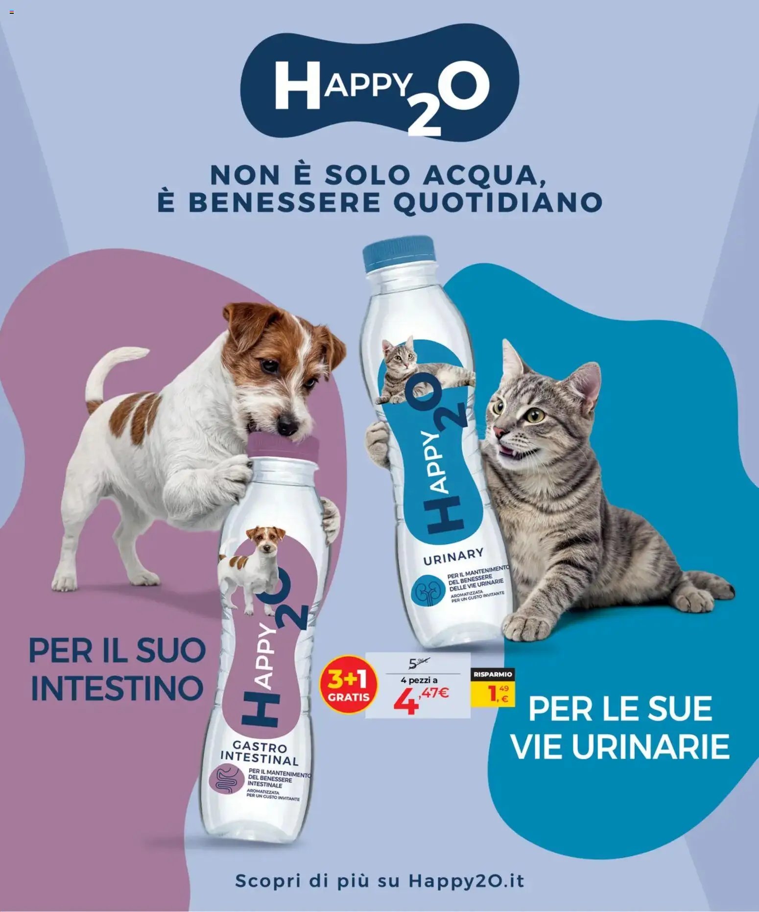 Arcaplanet volantino