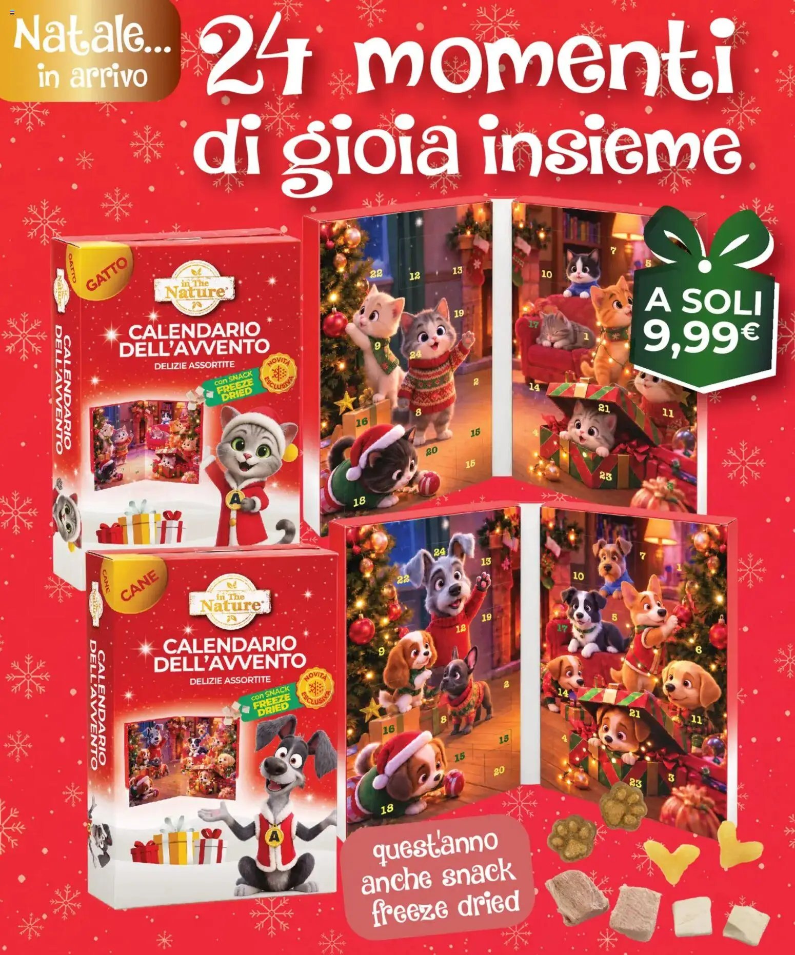 Arcaplanet volantino