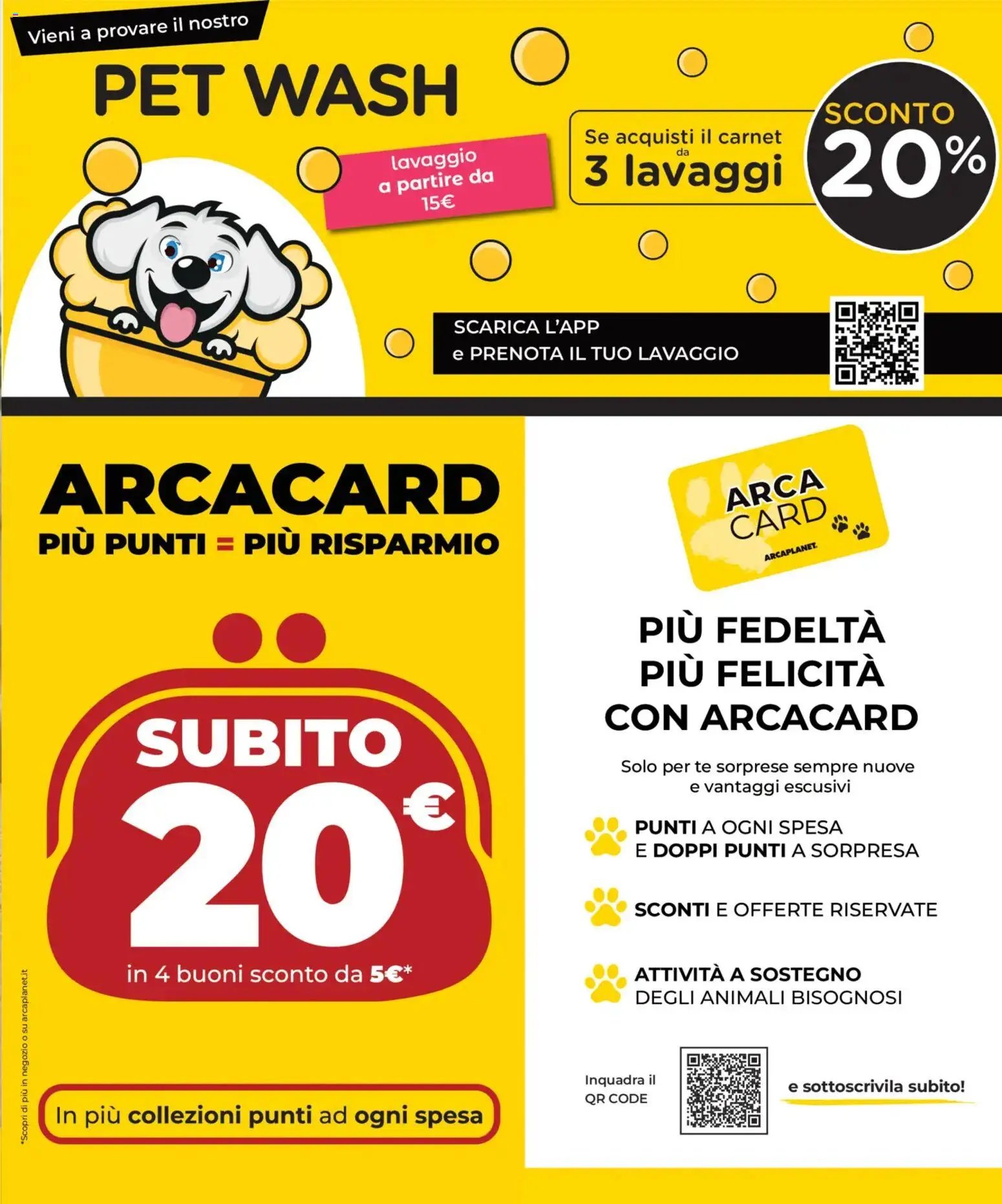 Arcaplanet volantino