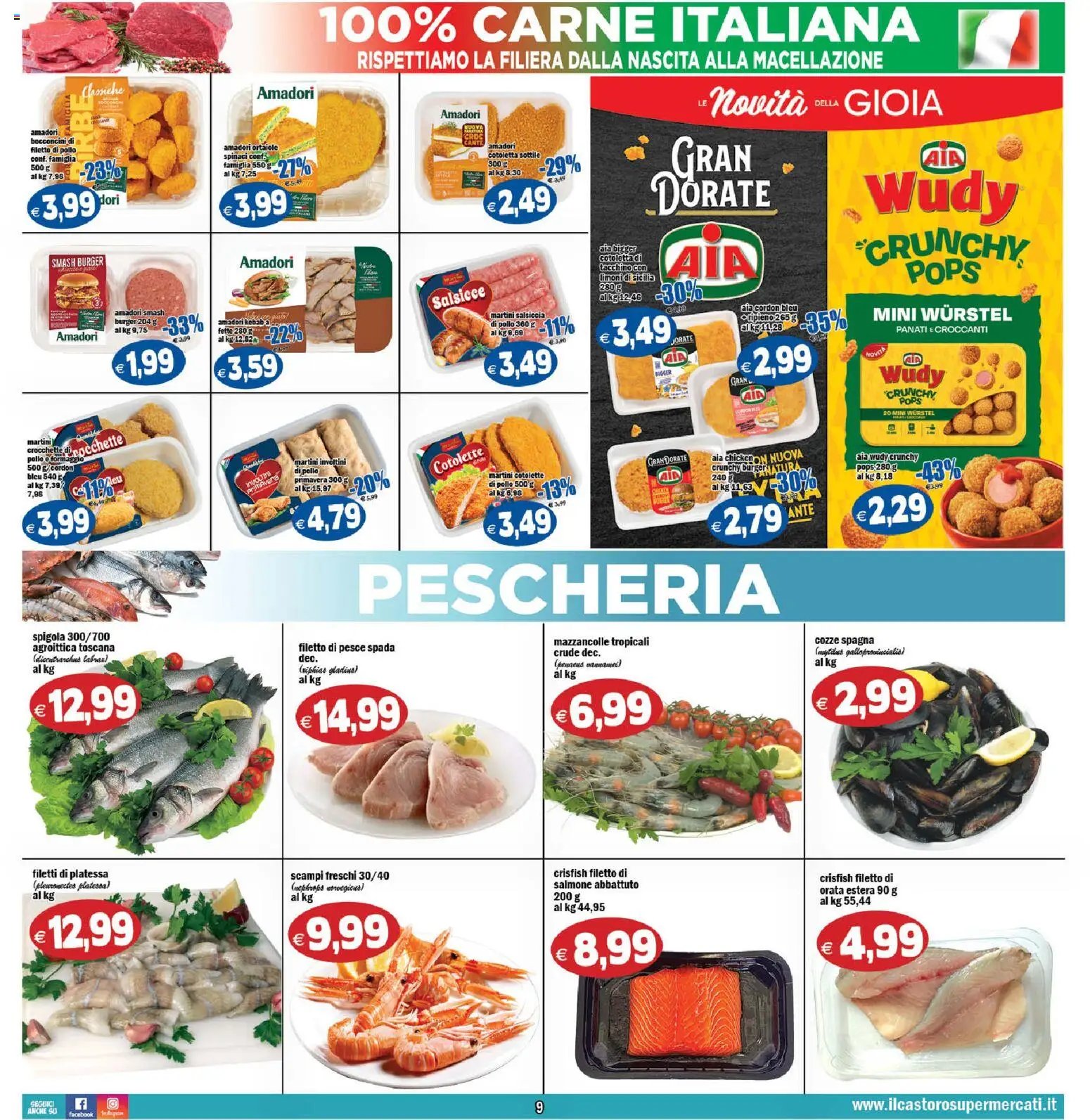 Il Castoro volantino