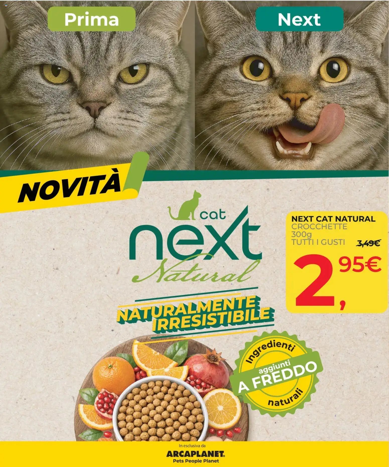 Arcaplanet volantino