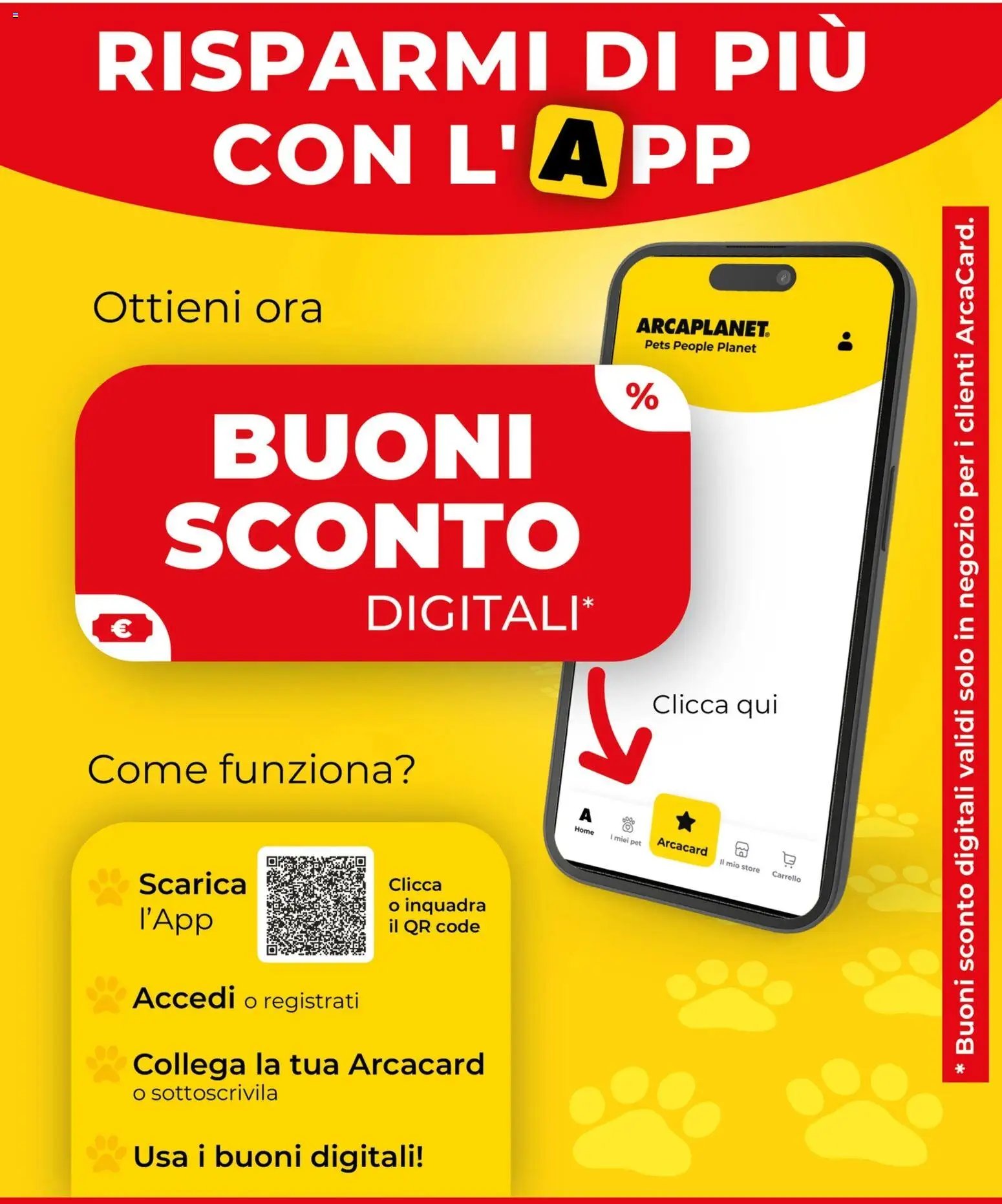 Arcaplanet volantino