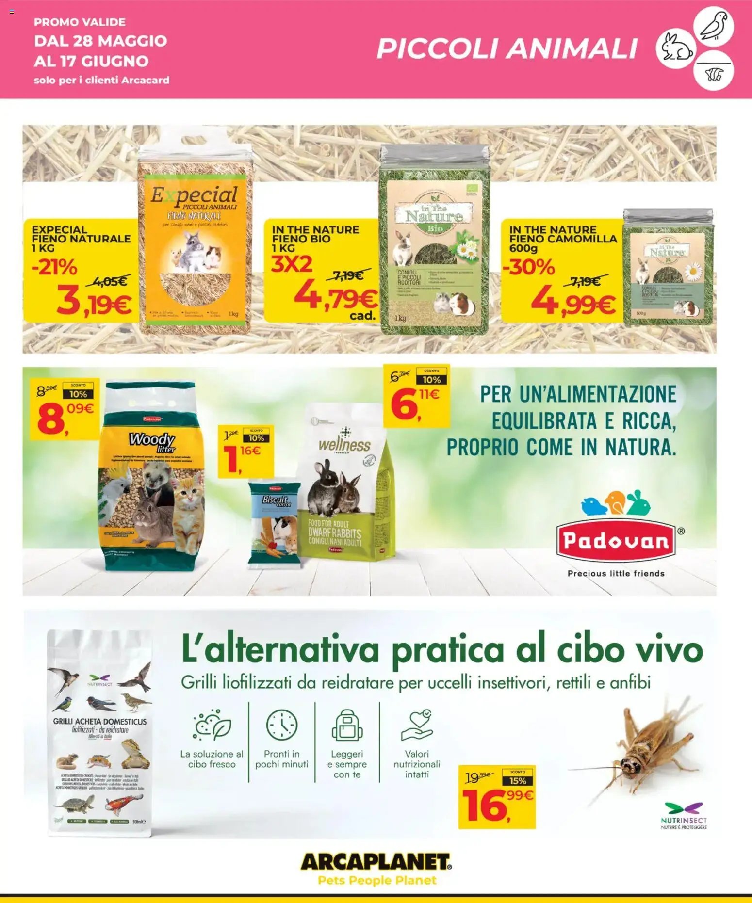 Arcaplanet volantino