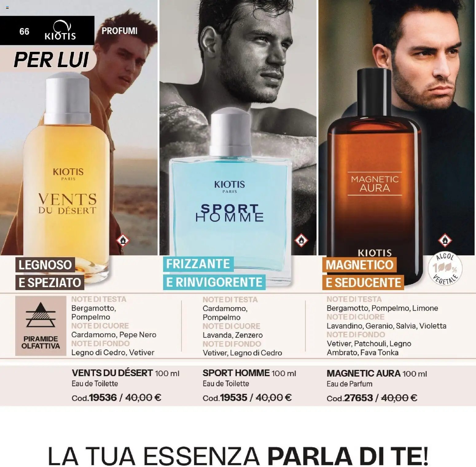 Catalogo Stanhome 9 2026