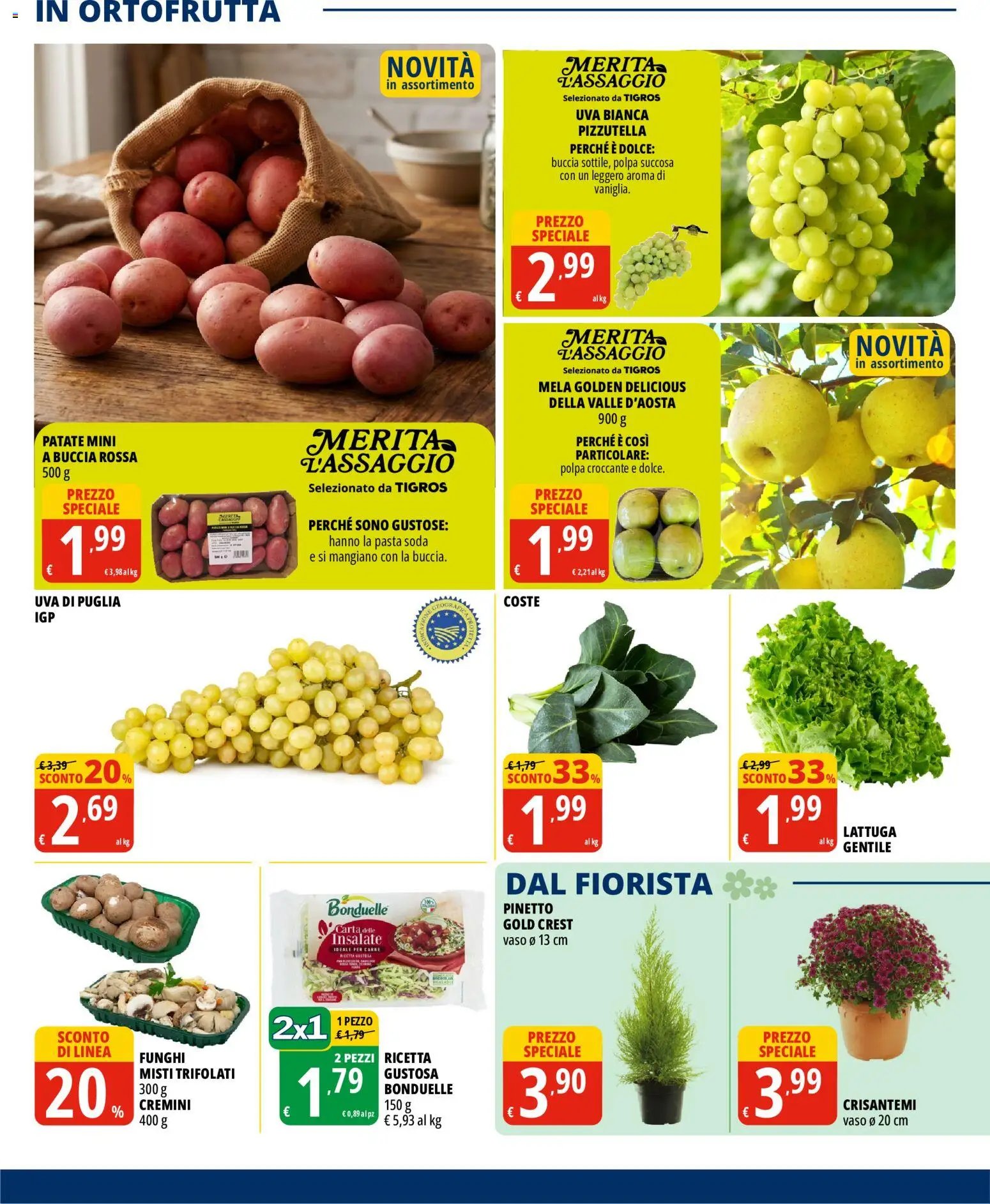 Tigros volantino