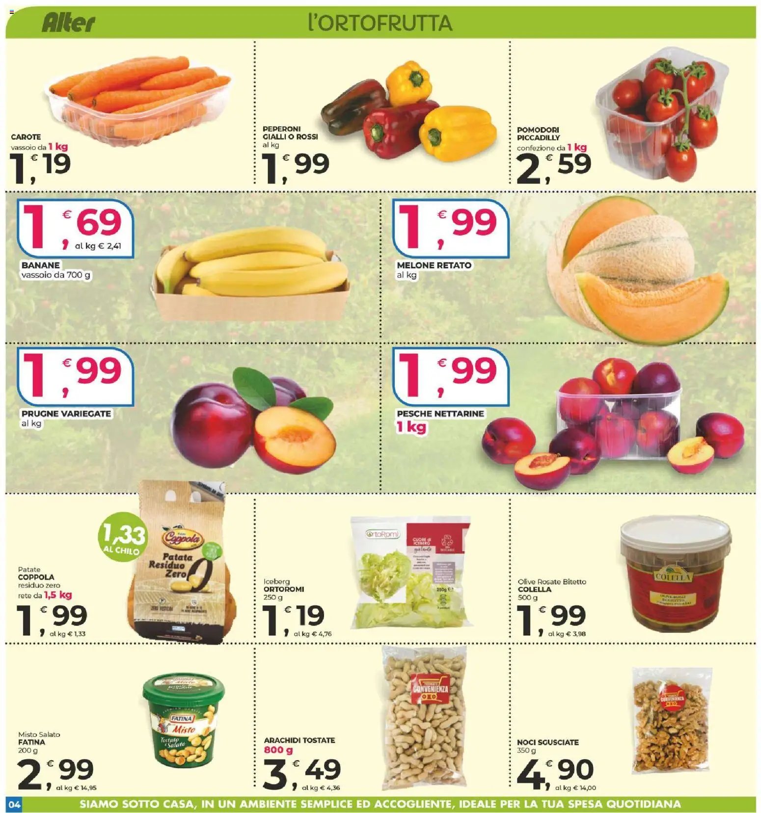Alter Discount volantino